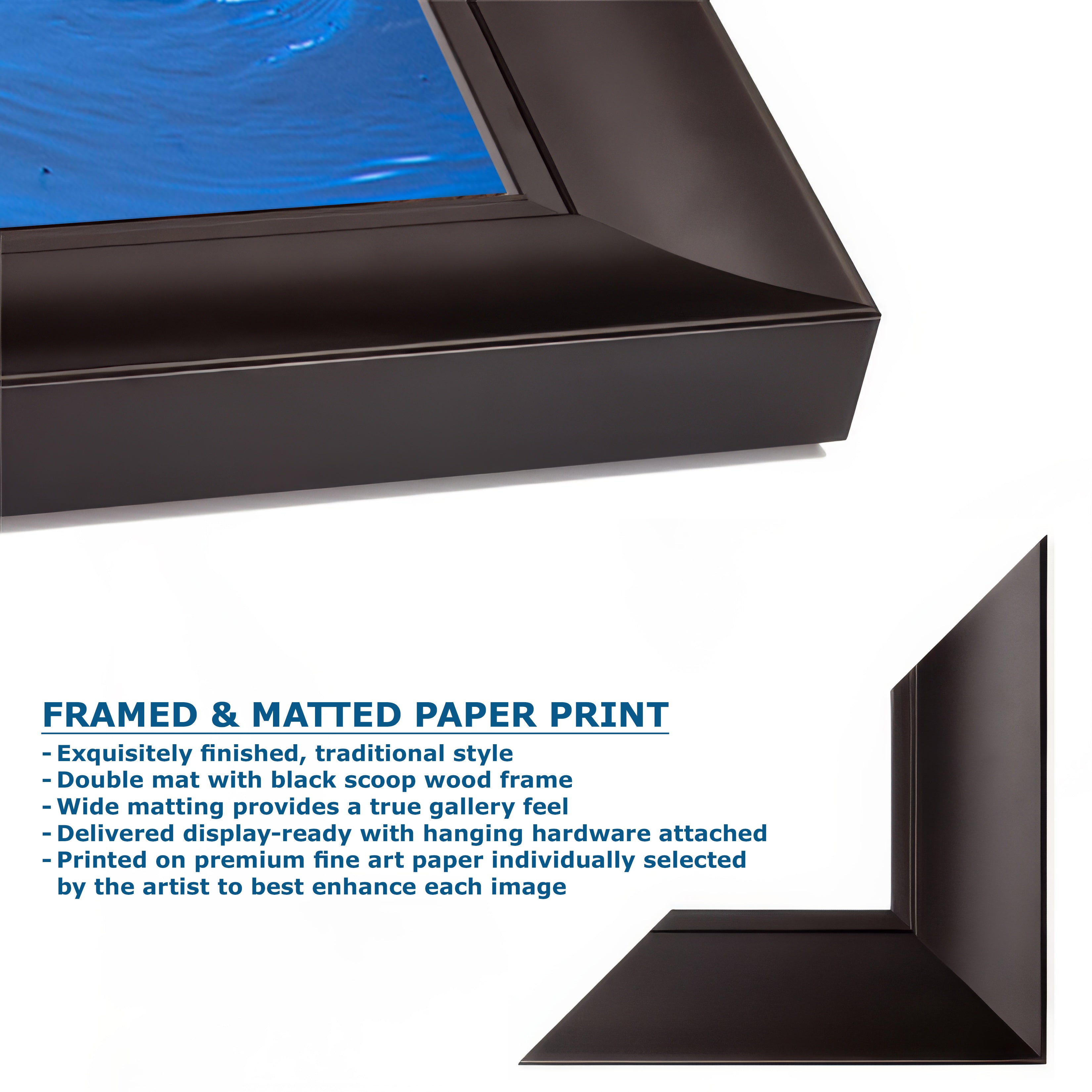 Ocean Picture Limited Edition Fine Art Print – Sea Otter Wildlife Photography Nature Photo