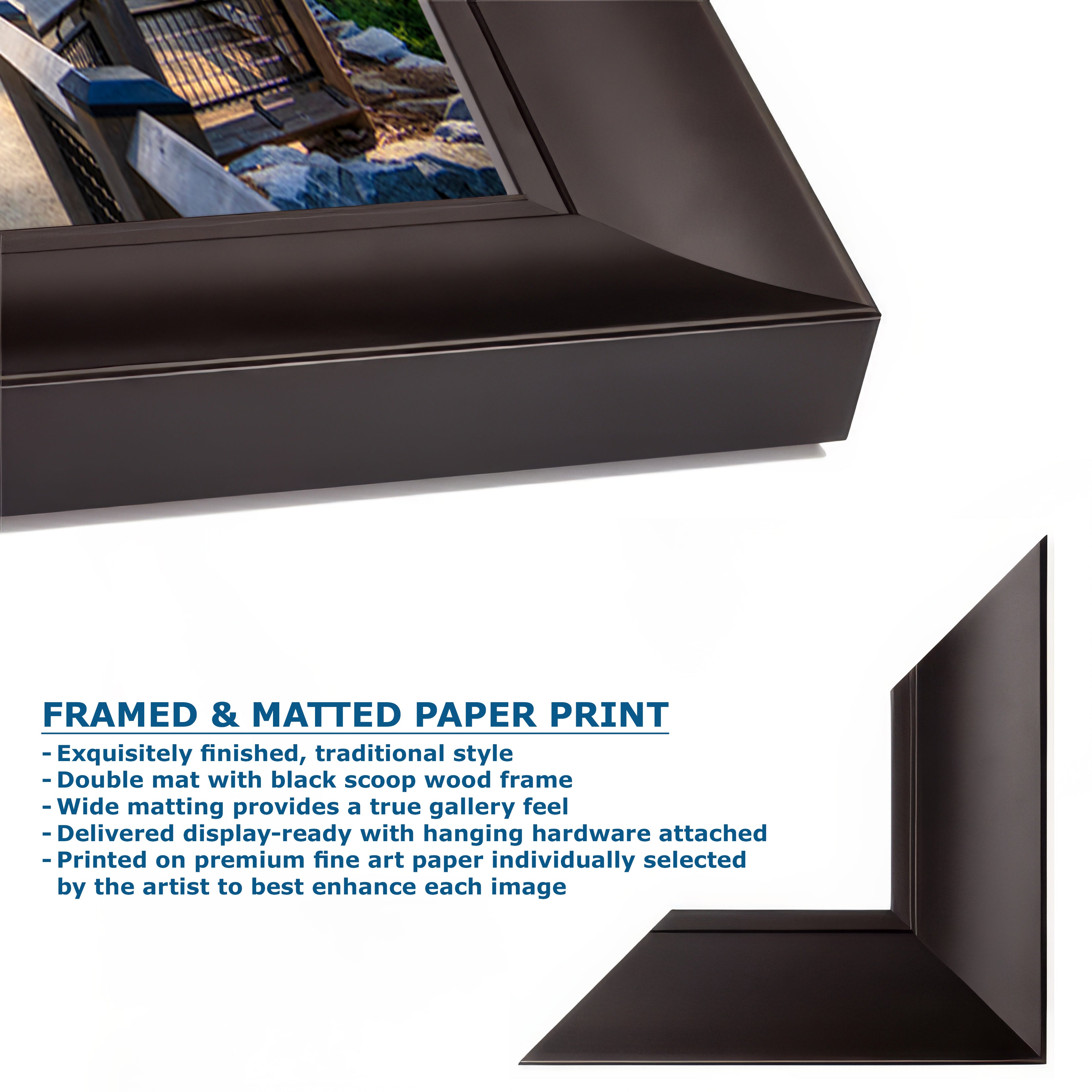 Giant Sequoia Tree Forest Picture Nature Photo | Yosemite Redwood Trees for Nature Lovers & Forest Bathing Relaxation, Meditation Artwork