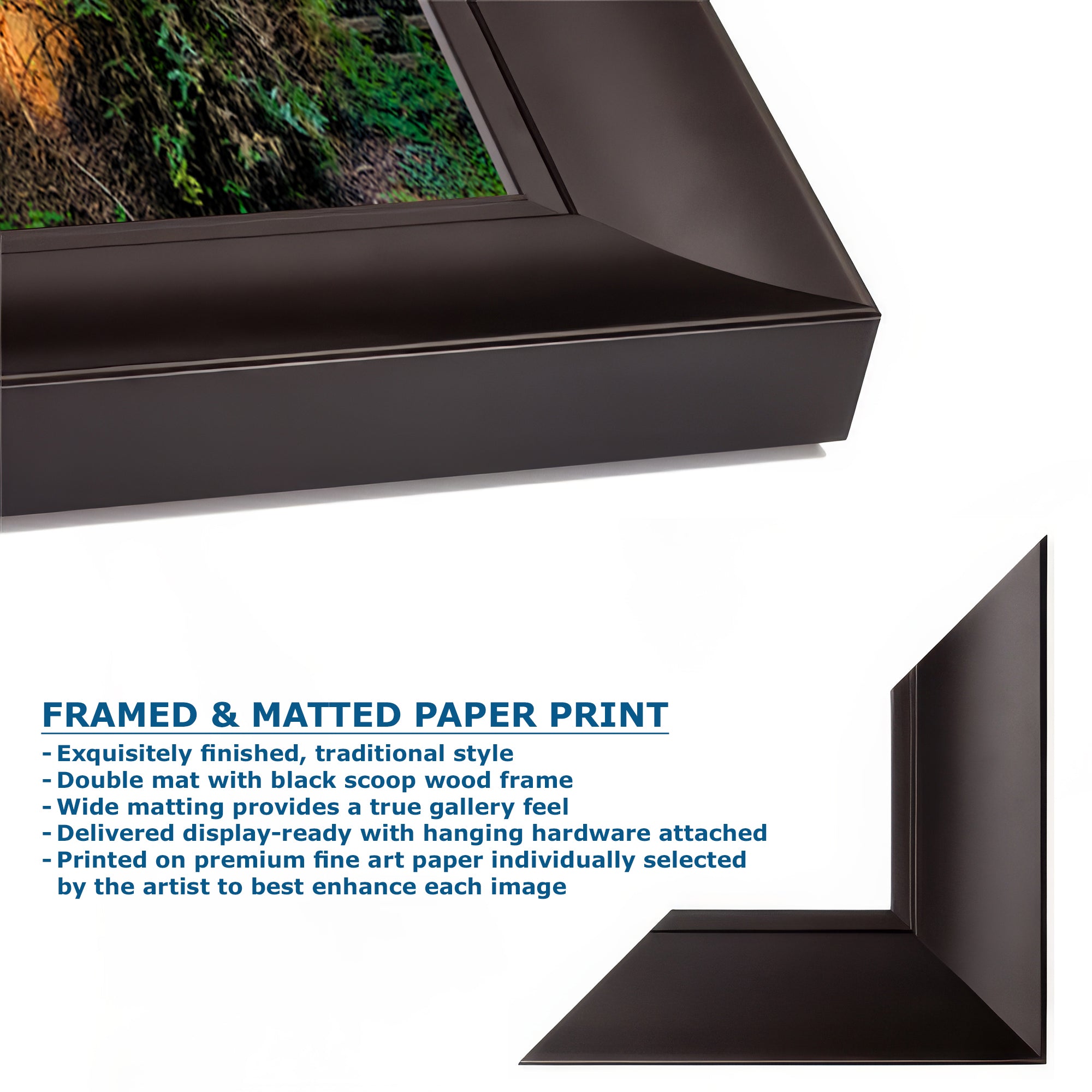 Redwood Trees Forest Picture Nature Photo, Forest Bathing Relaxation Artwork for Calming Meditation, Office and House Decor