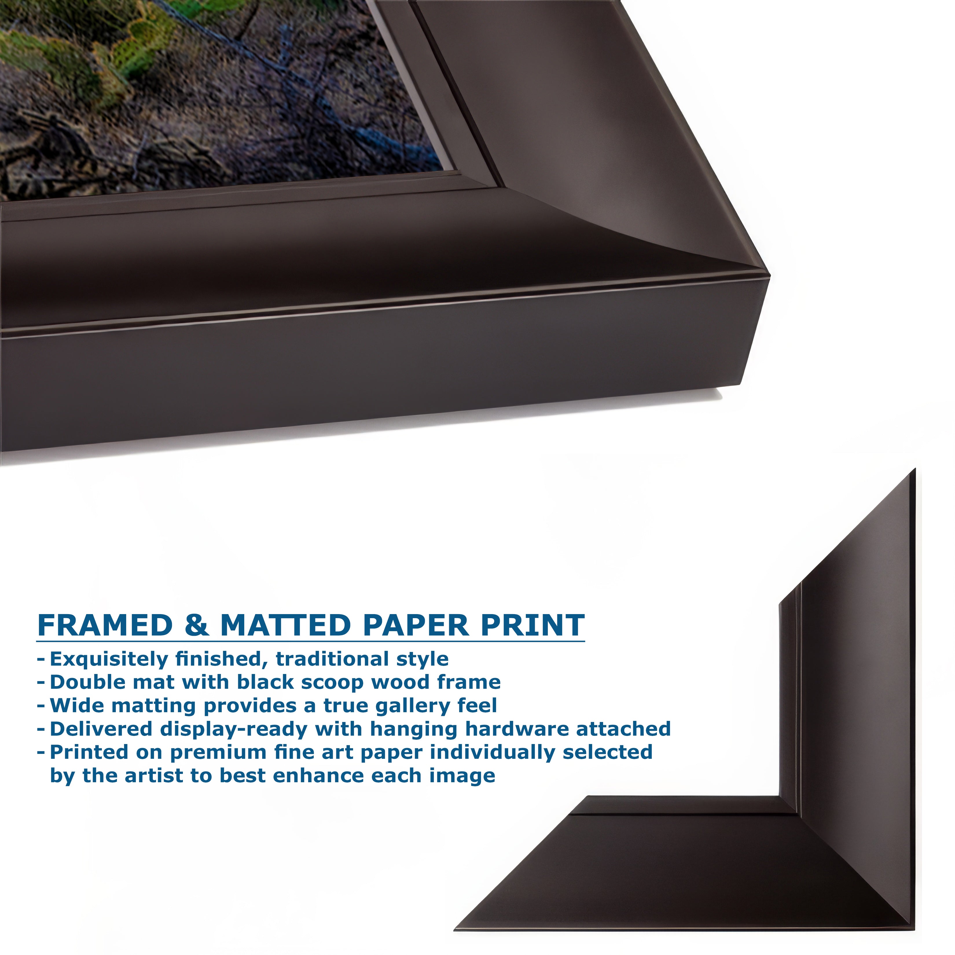 Saguaro National Park Arizona Desert Picture Nature Photo, Bohemian Style Relaxation Artwork, Southwestern Sonoran Desert House Decor