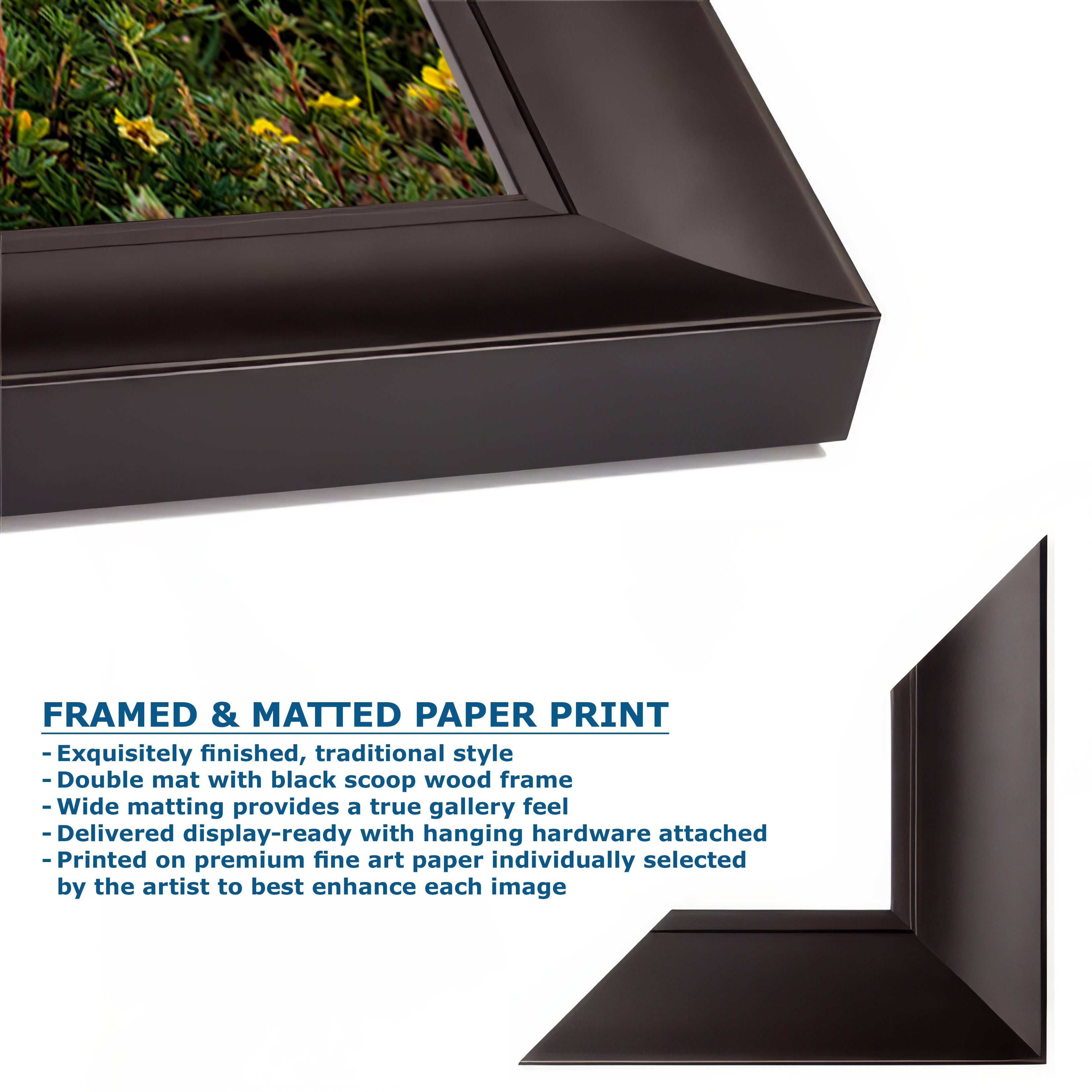 Grand Teton National Park Mountain Picture, Schwabacher Landing Nature Photo for Bohemian Decor and Meditation Artwork