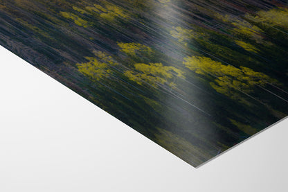 Aspen Tree Forest Picture Nature Photo, Forest Bathing Relaxation Artwork Dopamine Decor for Meditation, Bedroom, Living Room, and Office