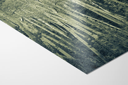 Aspen Tree Forest Picture Nature Photo, Forest Bathing Relaxation Artwork, Rustic Wall Art for Bedroom, Office, & House Decor