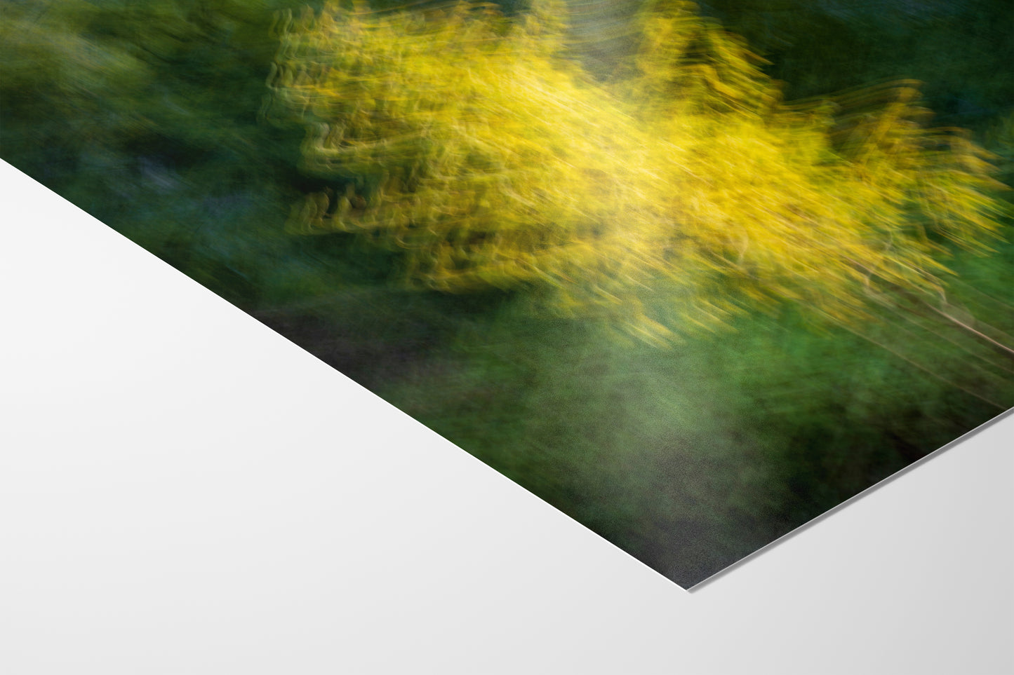 Impressionist Art Forest Picture Abstract Nature Photo, Relaxation Artwork, Forest Bathing Wall Decor, Meditation, Bohemian Style Canvas Print