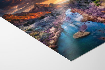 Zion National Park, Watchman, Southern Utah Desert Picture, Southwestern Wall Art, Relaxation Artwork Nature Photo for House Decor