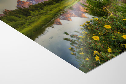 Grand Teton National Park Mountain Picture, Schwabacher Landing Nature Photo for Bohemian Decor and Meditation Artwork