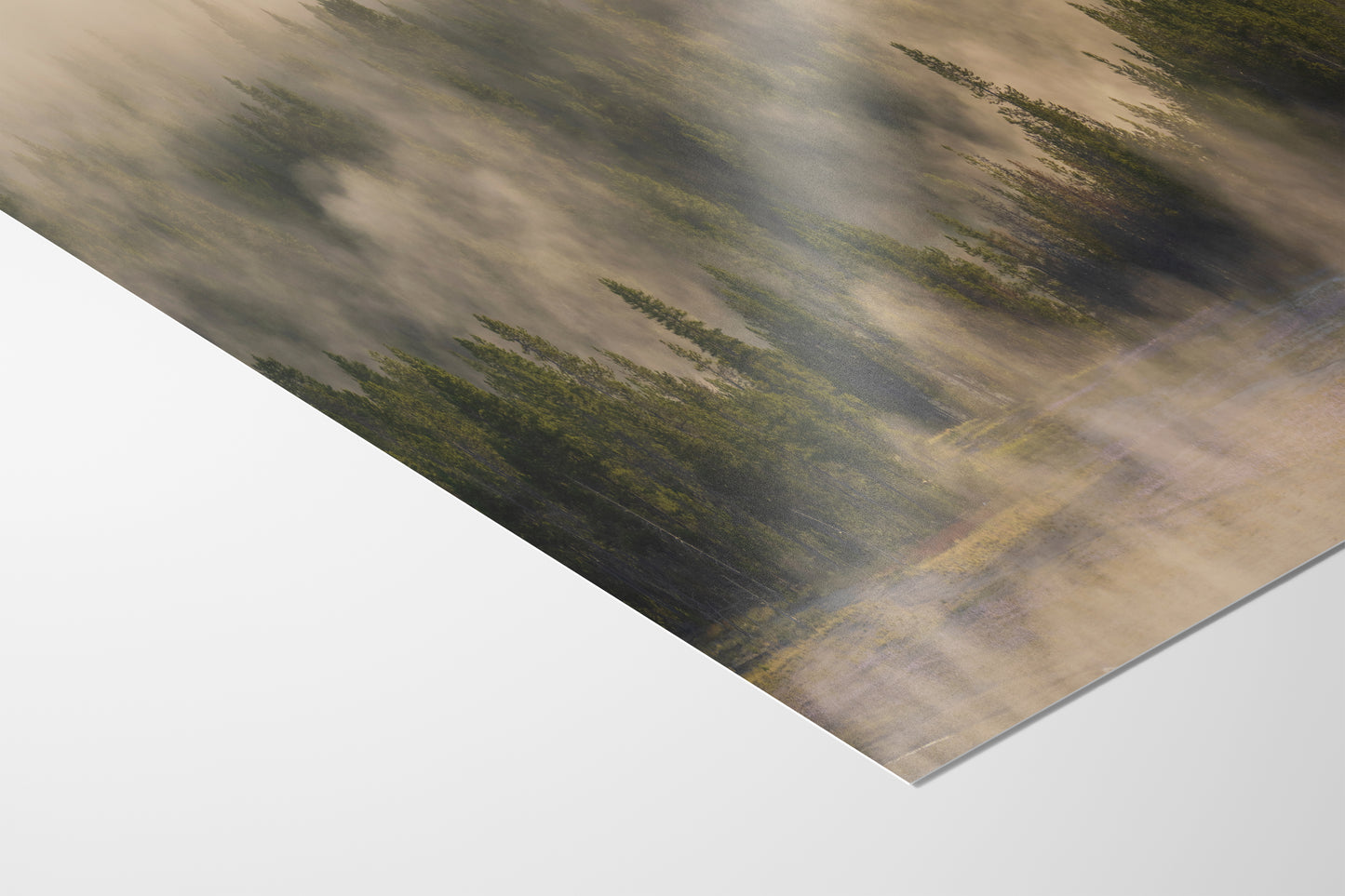 Foggy Forest Picture Forest Bathing Nature Photo, Yellowstone Misty Trees Wall Art, Cabin Decor, Canvas, Paper, Metal Prints