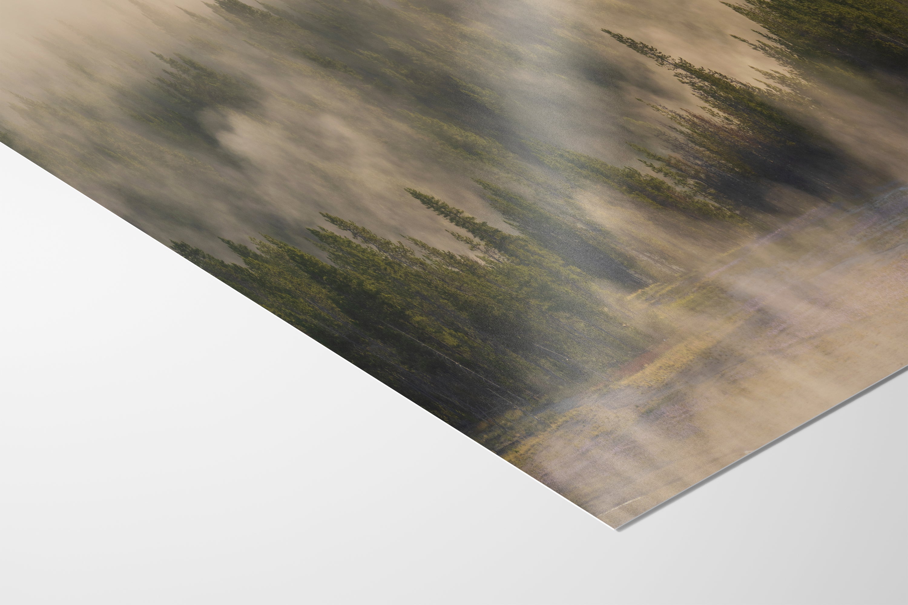 Foggy Forest Picture Forest Bathing Nature Photo, Yellowstone Misty Trees Wall Art, Cabin Decor, Canvas, Paper, Metal Prints