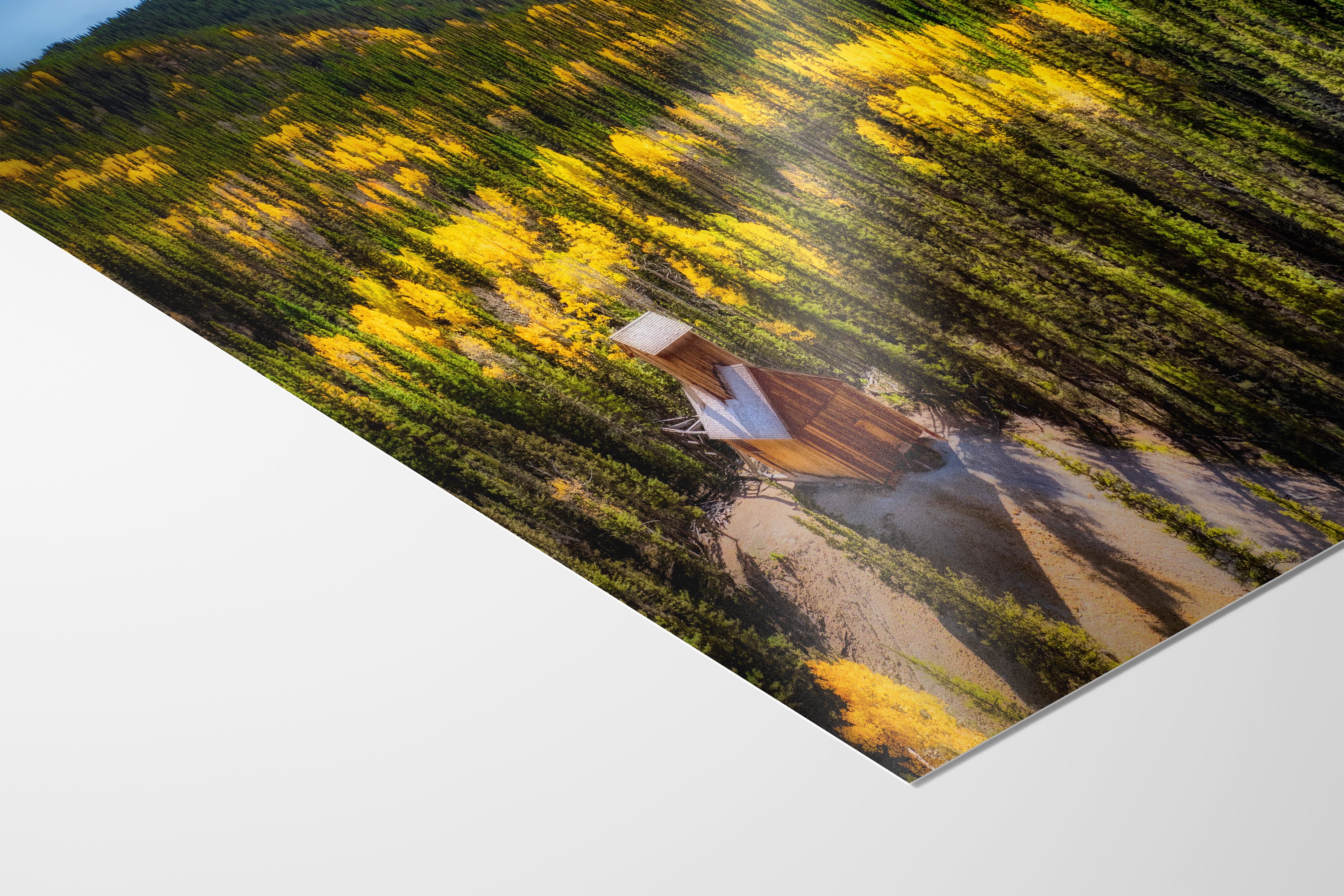 Colorado Boy Mine, San Juan Mountain Picture, Fall Colors Aspen Trees Forest Picture Nature Photo for Relaxation Artwork, Meditation and House Decor