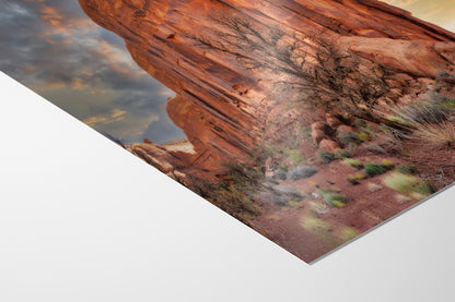 Monument Valley Arizona Desert Picture Cactus Nature Photo, Bohemian Style Relaxation Artwork for Meditation, Apartment, Office & House Decor