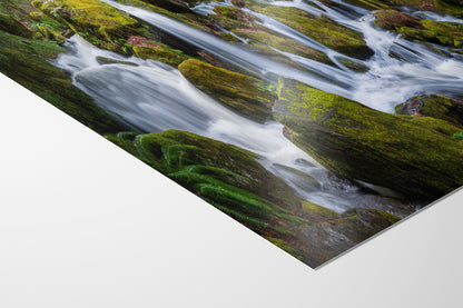 Oregon Waterfall Picture, Pacific Northwest Nature Photo Relaxation Artwork in Bohemian Style for Meditation, Office, Apartment, House Decor