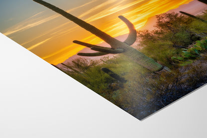 Saguaro National Park Arizona Desert Picture Nature Photo, Bohemian Style Relaxation Artwork, Southwestern Sonoran Desert House Decor