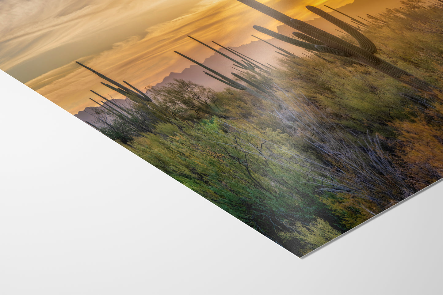 Saguaro National Park Arizona Desert Picture Sunset Nature Photo, Bohemian Style Relaxation Artwork, Southwestern Sonoran Desert House Decor