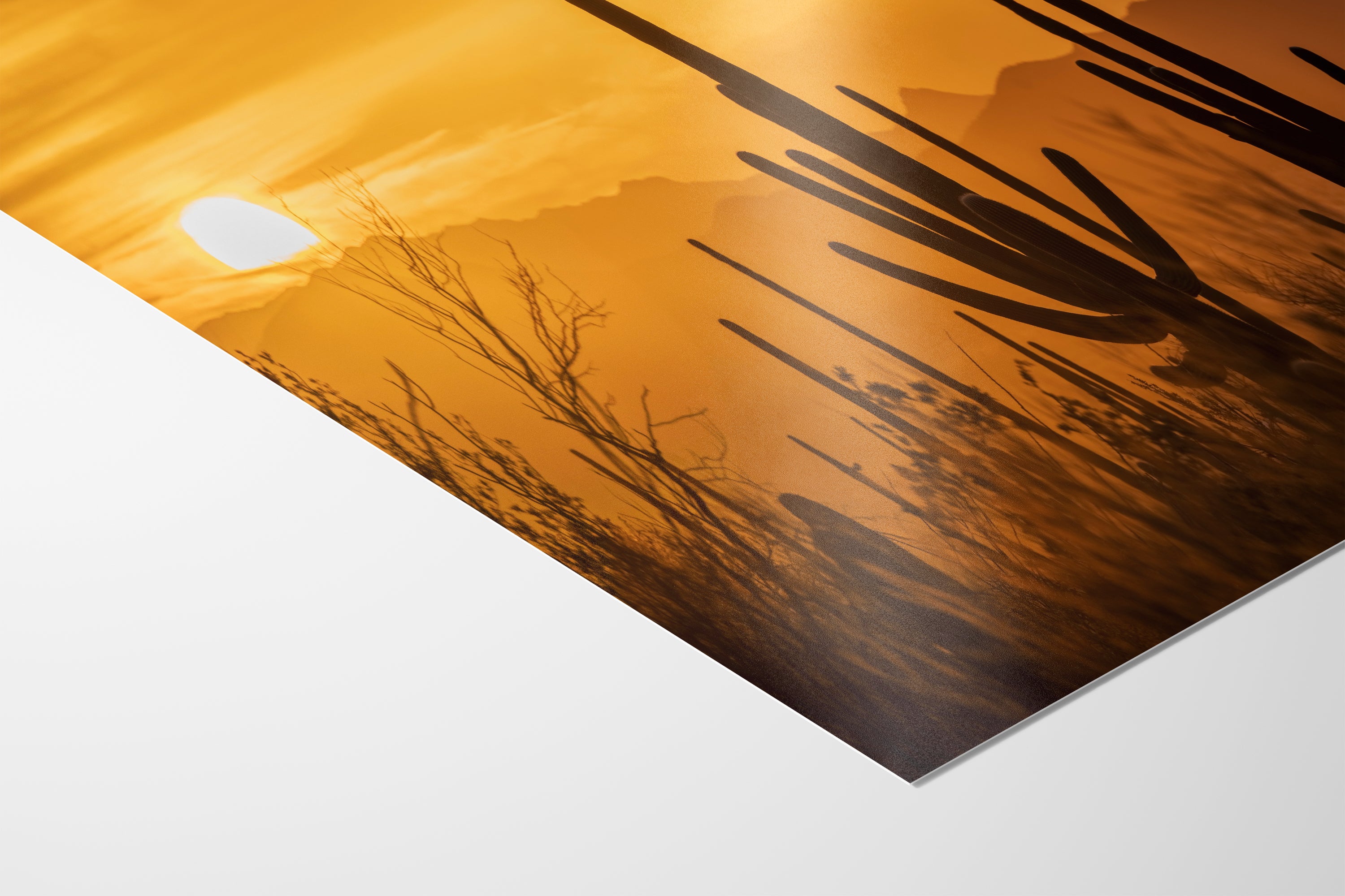 Saguaro National Park Arizona Desert Picture Nature Photo Silhouette, Bohemian Style Relaxation Artwork, Southwestern Sonoran Desert House Decor