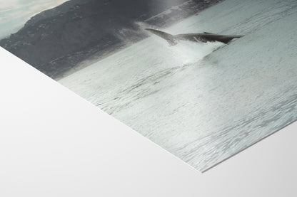 Humpback Whale Marine Mammal Wildlife Photography, Ocean Nature Art, Marine Conservation, Dolphin & Sea Life Gift, House Decor