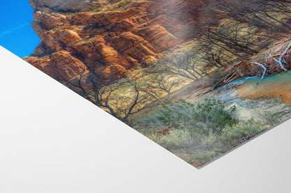 Zion National Park Southern Utah Desert Picture, Southwestern Wall Art, Relaxation Artwork Nature Photo for House Decor