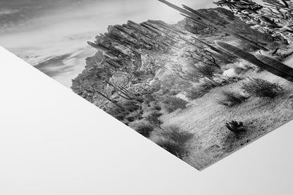 Arizona Desert Picture in Black and White, Saguaro Cactus Artwork Nature Photo, Southwestern Wall Art of Superstition Mountains at Lost Dutchman State Park