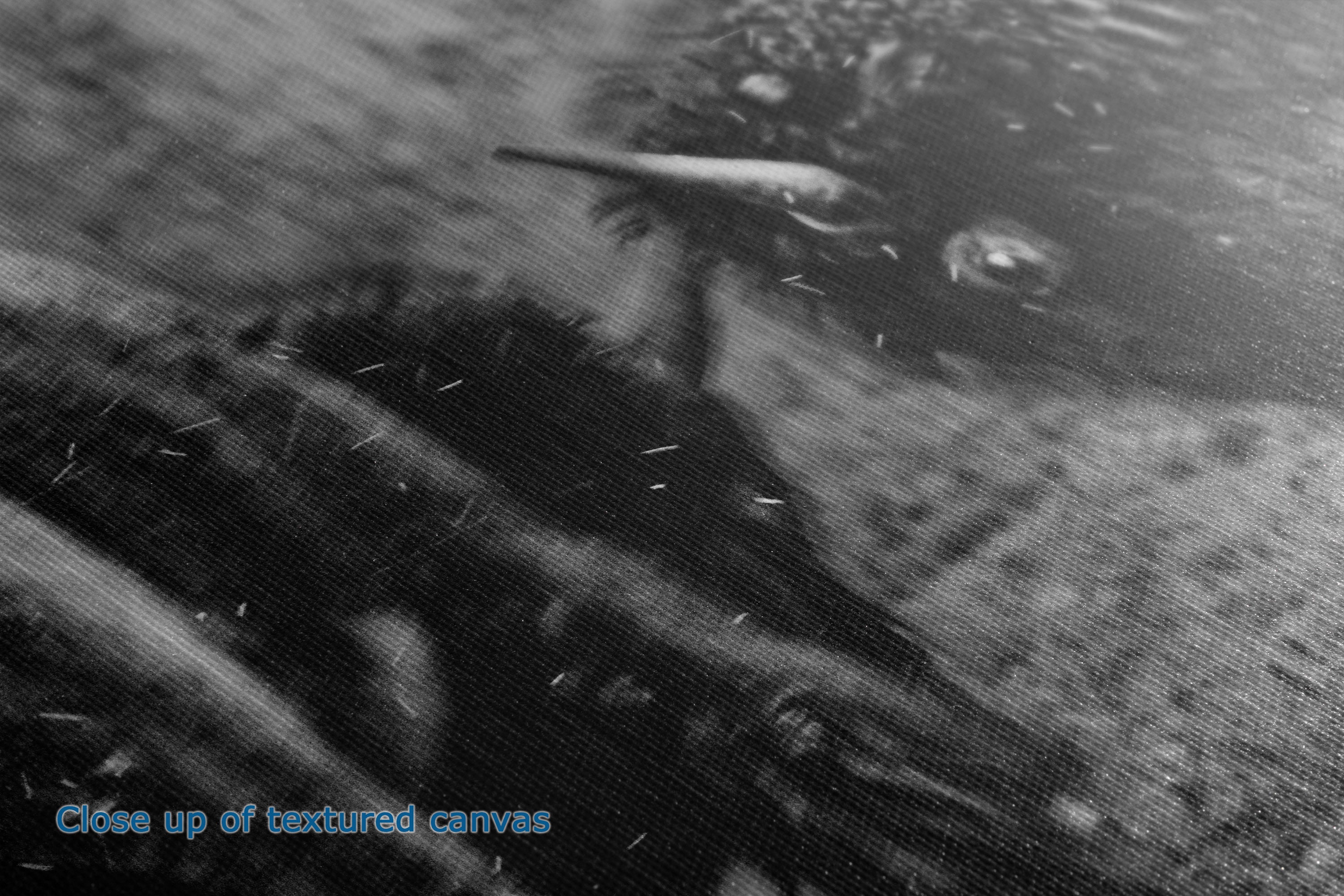 Black and white close-up of a textured canvas surface with a small blue text overlay reading 'Close up of textured canvas'.