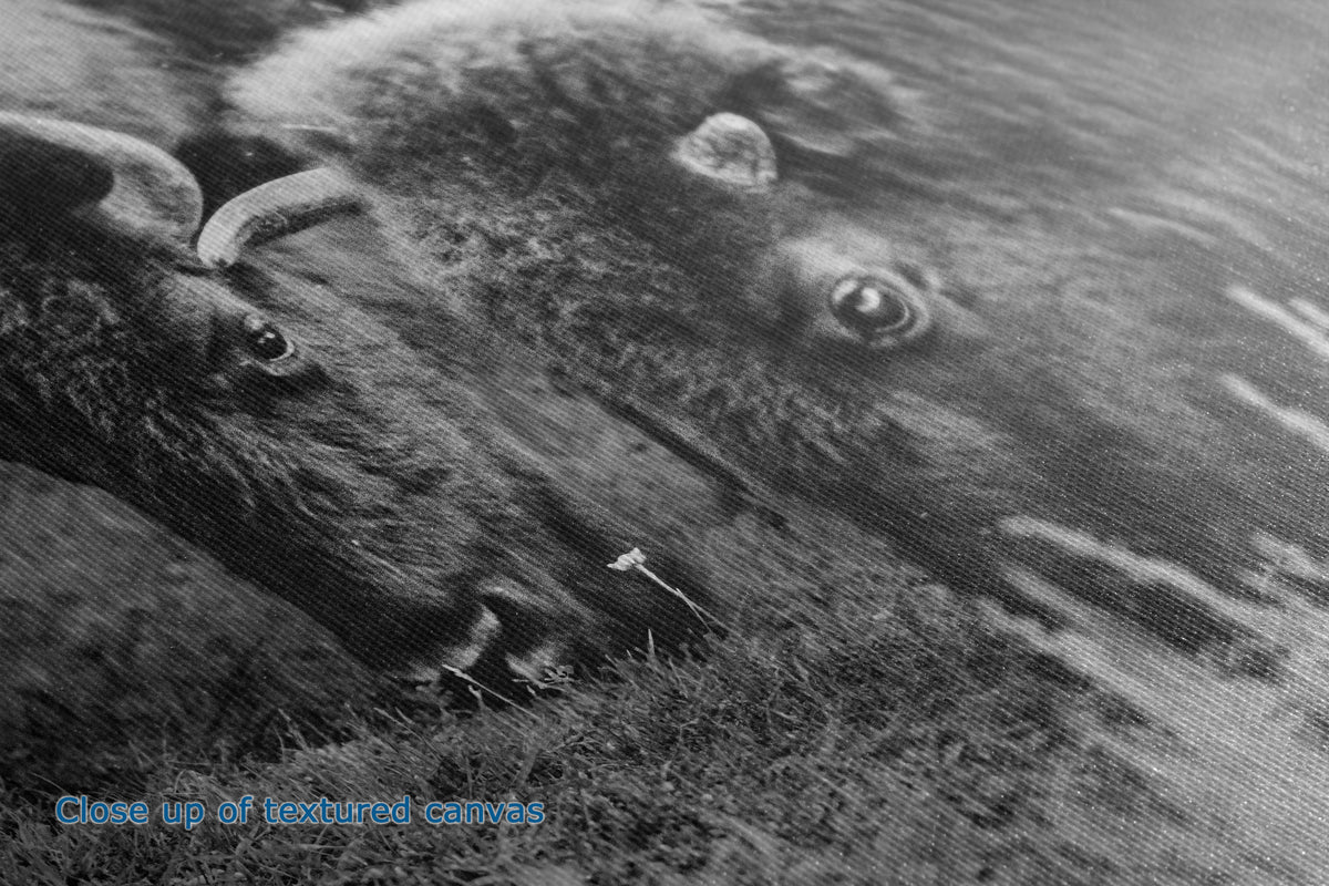 Black and white close-up artwork of a buffalo or bison head with textured fur and water in the background, captioned with small blue text reading 'Close up of textured carvings.'.