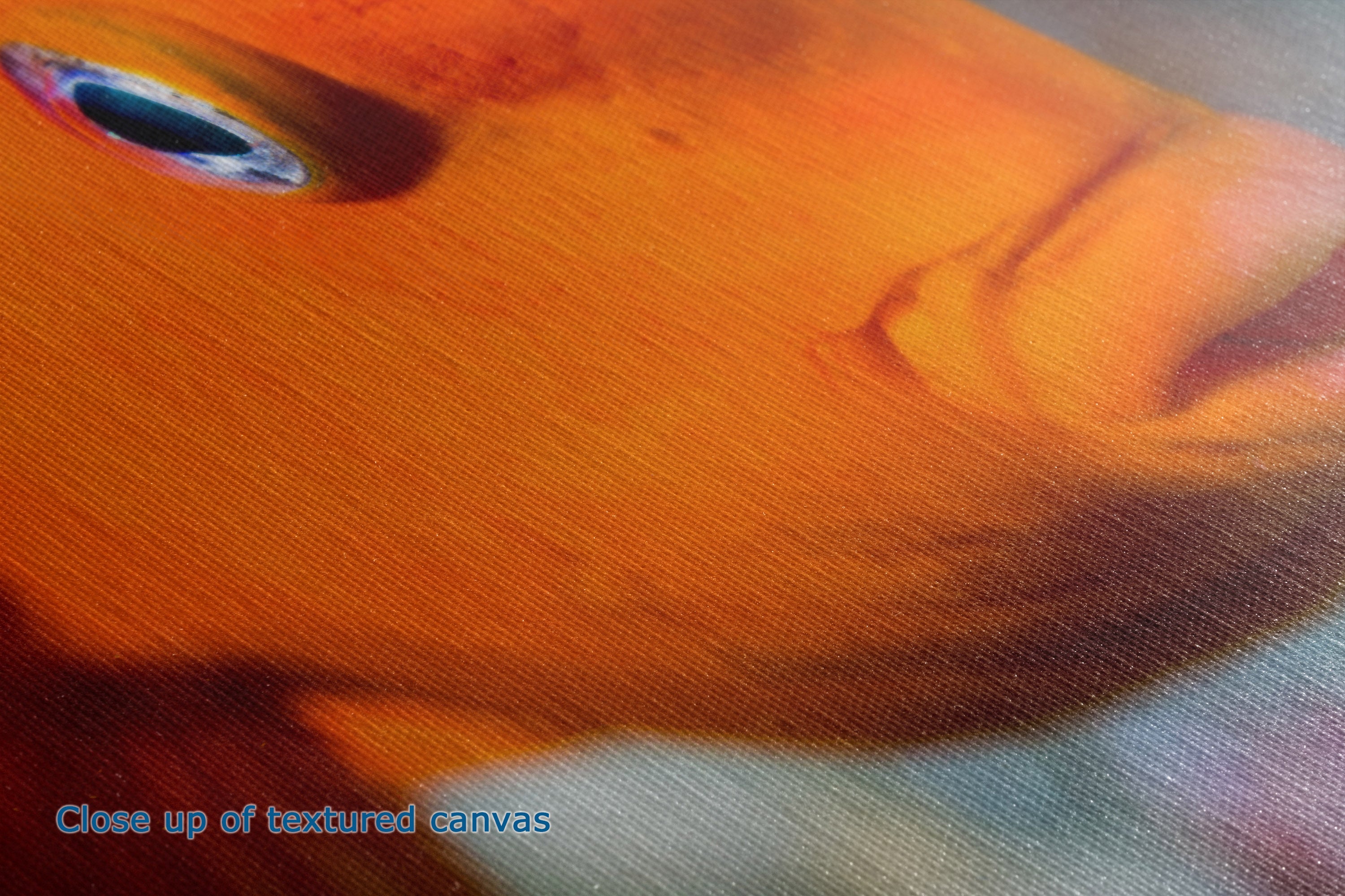 Close-up of a textured canvas print depicting an orange fish face.