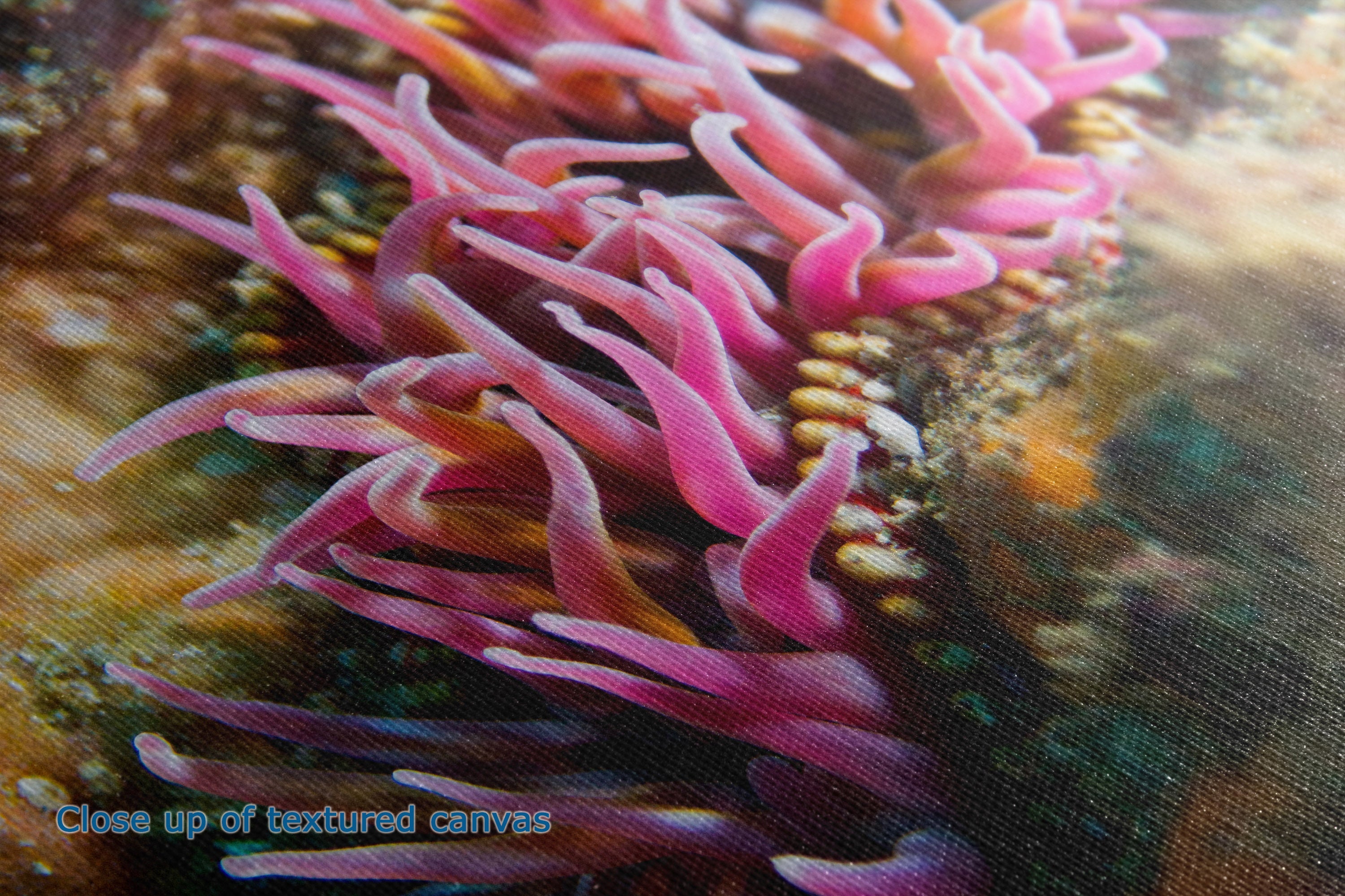 Close-up of a textured canvas print depicting a vibrant pink sea anemone on a rocky, oceanic background with blue and green undertones.