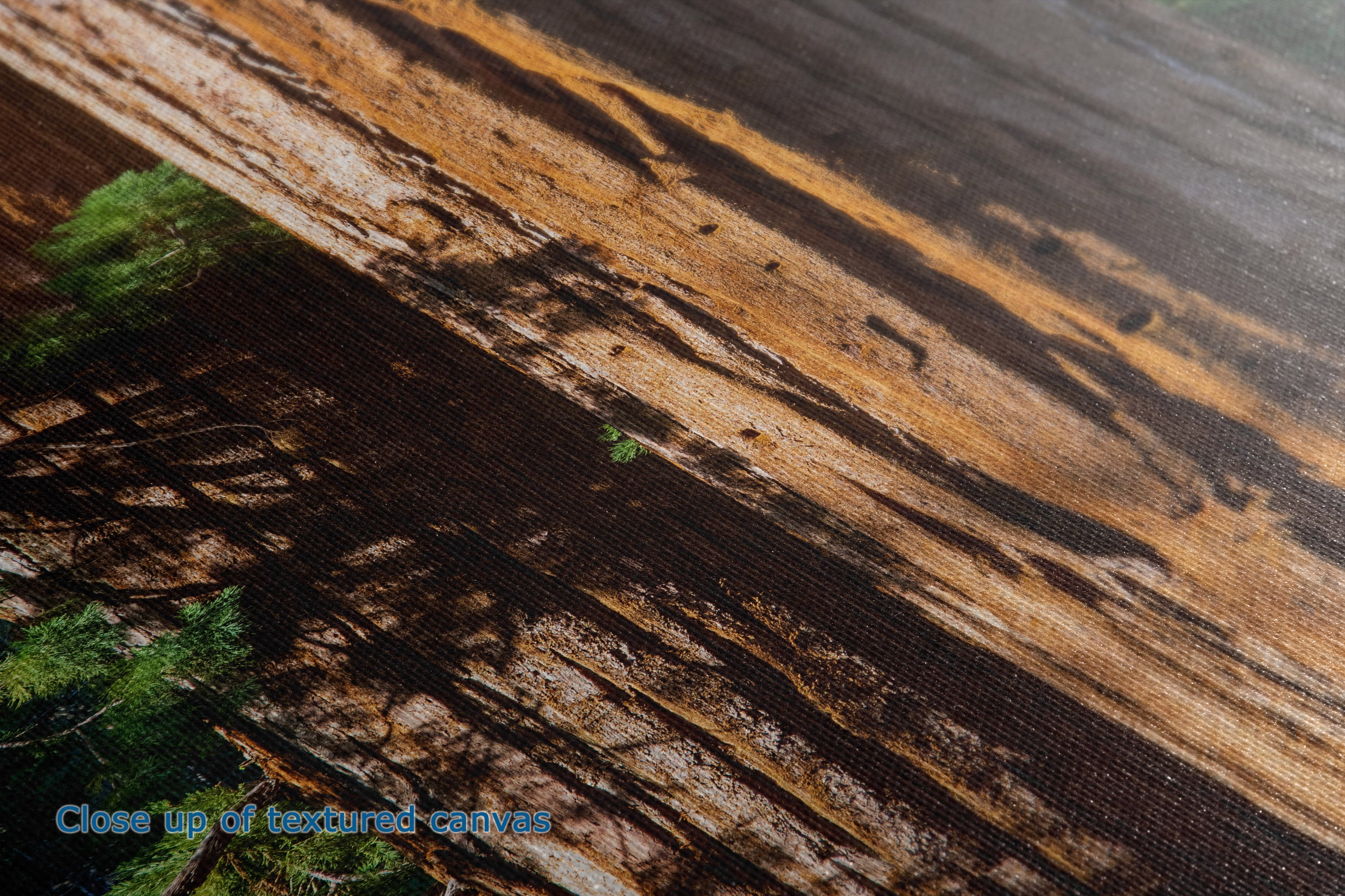 Close-up of a textured material with diagonal bands of dark brown, tan, and black, featuring small green flecks and a blue text overlay in the bottom left corner.