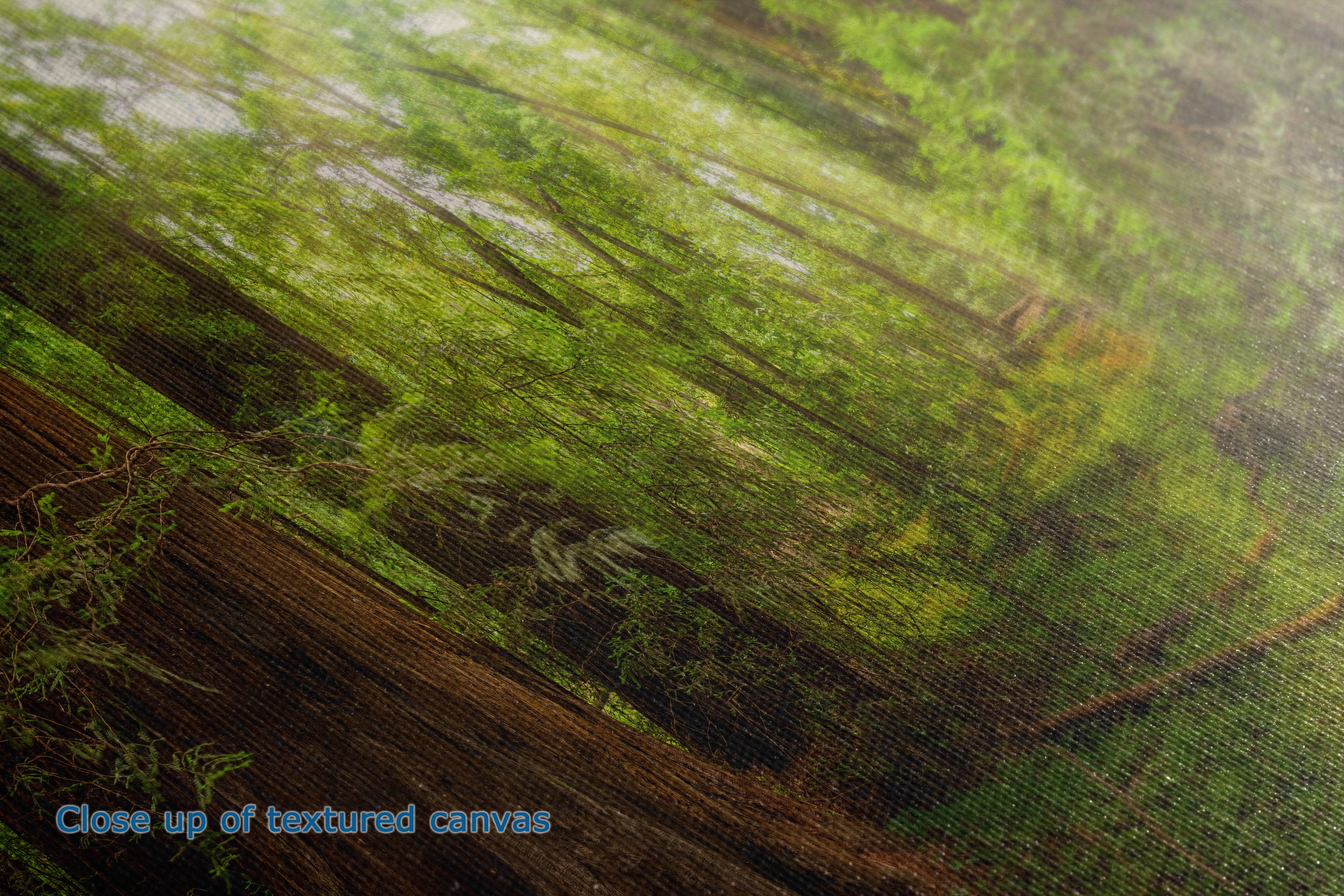 Close-up of a textured canvas print depicting a lush green forest with dappled light, showing the fabric texture and a small blue text overlay reading 'Close up of textured canvas'.
