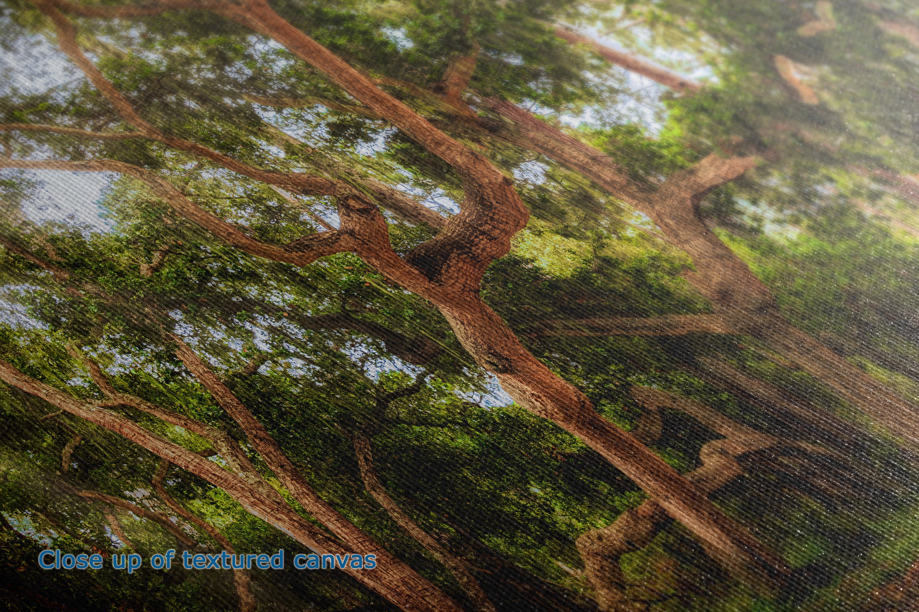 Close-up of a textured canvas print depicting a forest canopy with green leaves and brown tree branches filtering light.