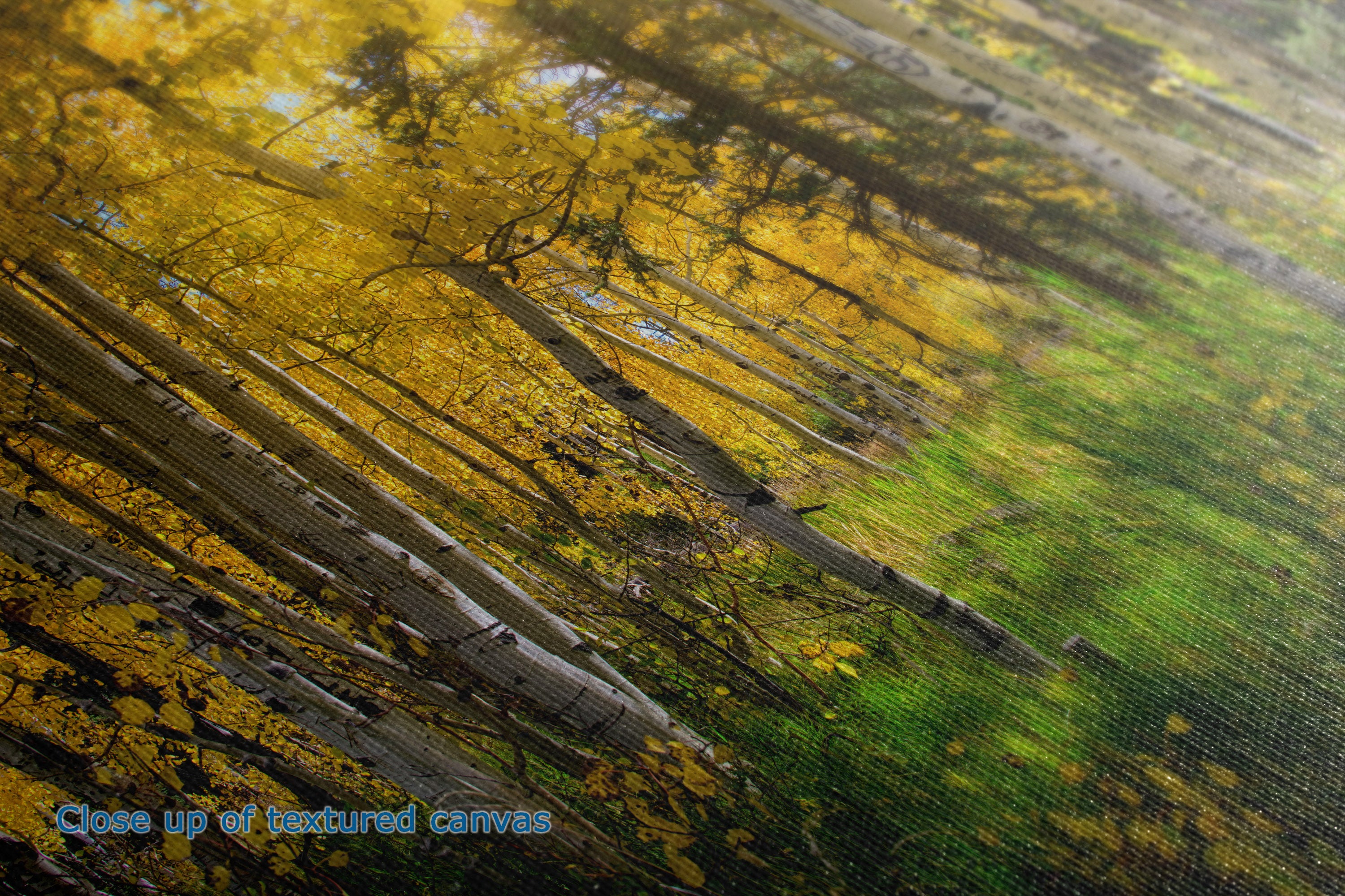 Close-up of a textured canvas print depicting an autumn forest with bright yellow and green foliage, tree trunks, and dappled sunlight.