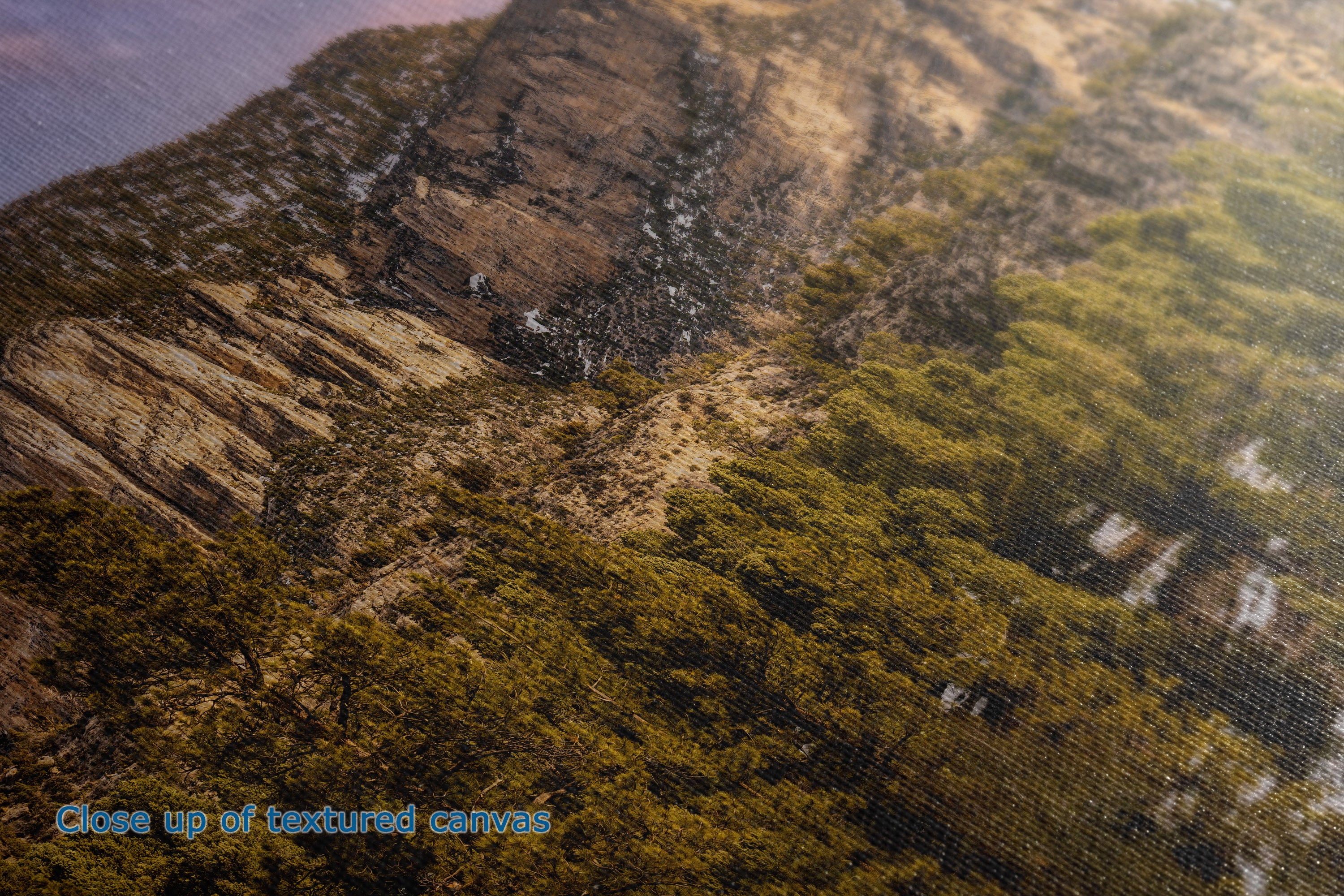 A close-up of the texture and detail of canvas print depicting a mountain landscape with rocky cliffs and dense green pine trees under warm light.