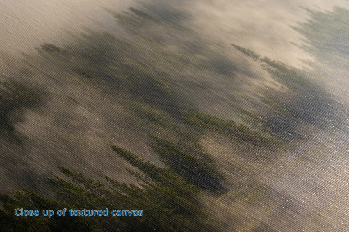 Close-up of a textured canvas print depicting a misty forest scene with dark green pine trees and soft beige-gray fog, with blue text in the lower-left corner reading 'Close up of textured canvas'.