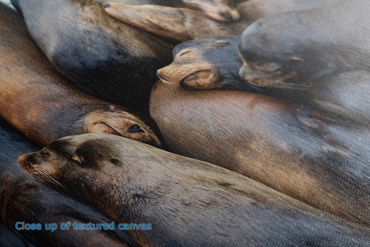 Close-up of a textured canvas print depicting a pile of sea lions resting together, with a small blue text overlay in the bottom-left corner reading 'Close up of textured canvas'.