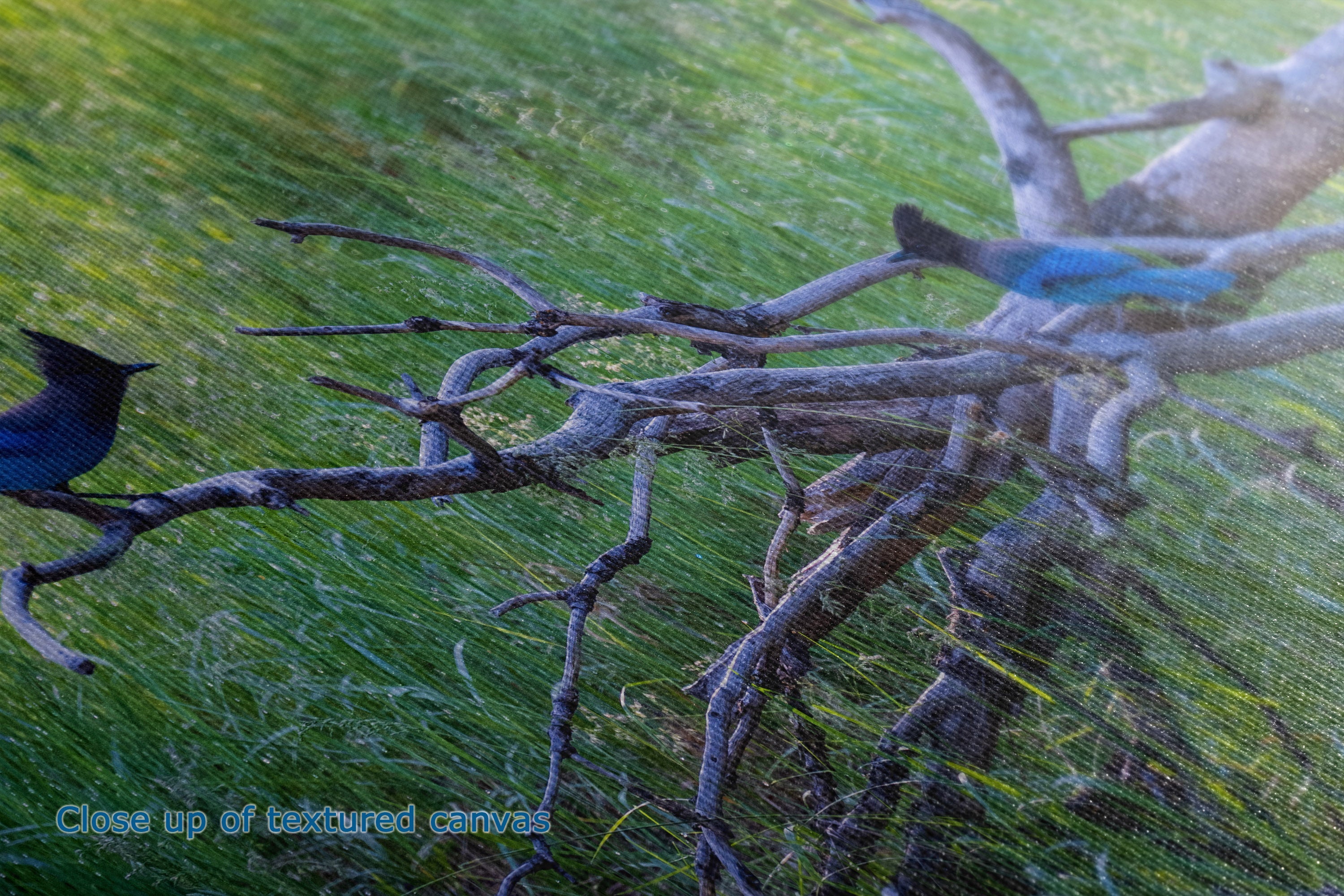 A close-up of a textured canvas print depicting blue birds perched on weathered tree branches over a vibrant green grassy field.