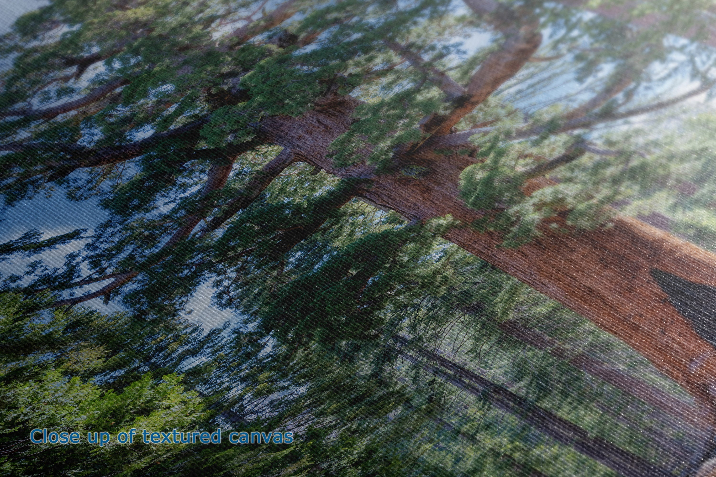 Close-up of a textured canvas print depicting a forest scene with tall trees, green foliage, and brown trunks, with blue sky visible through the branches.