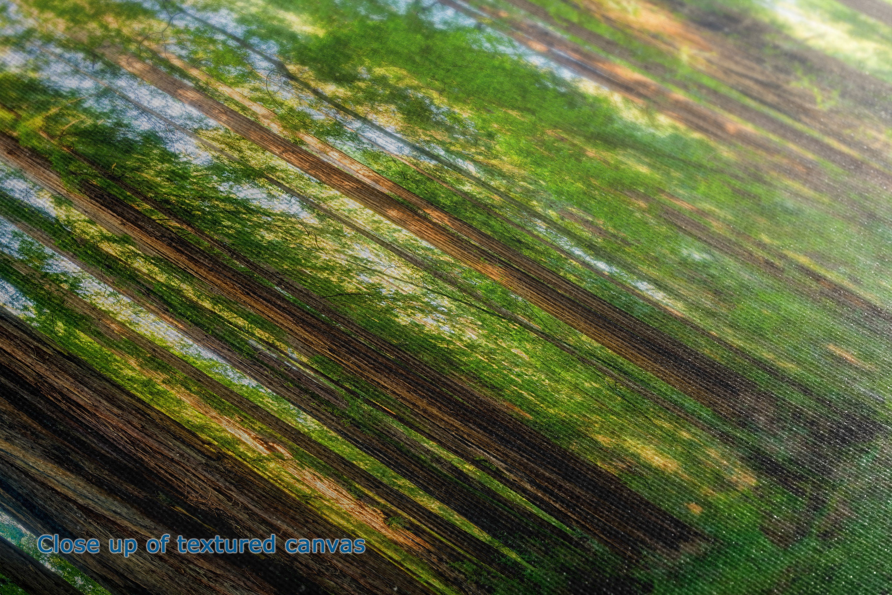 Close-up of a textured canvas print depicting a forest scene with diagonal tree trunks and green foliage, with a blue text overlay reading 'Close up of textured canvas'.