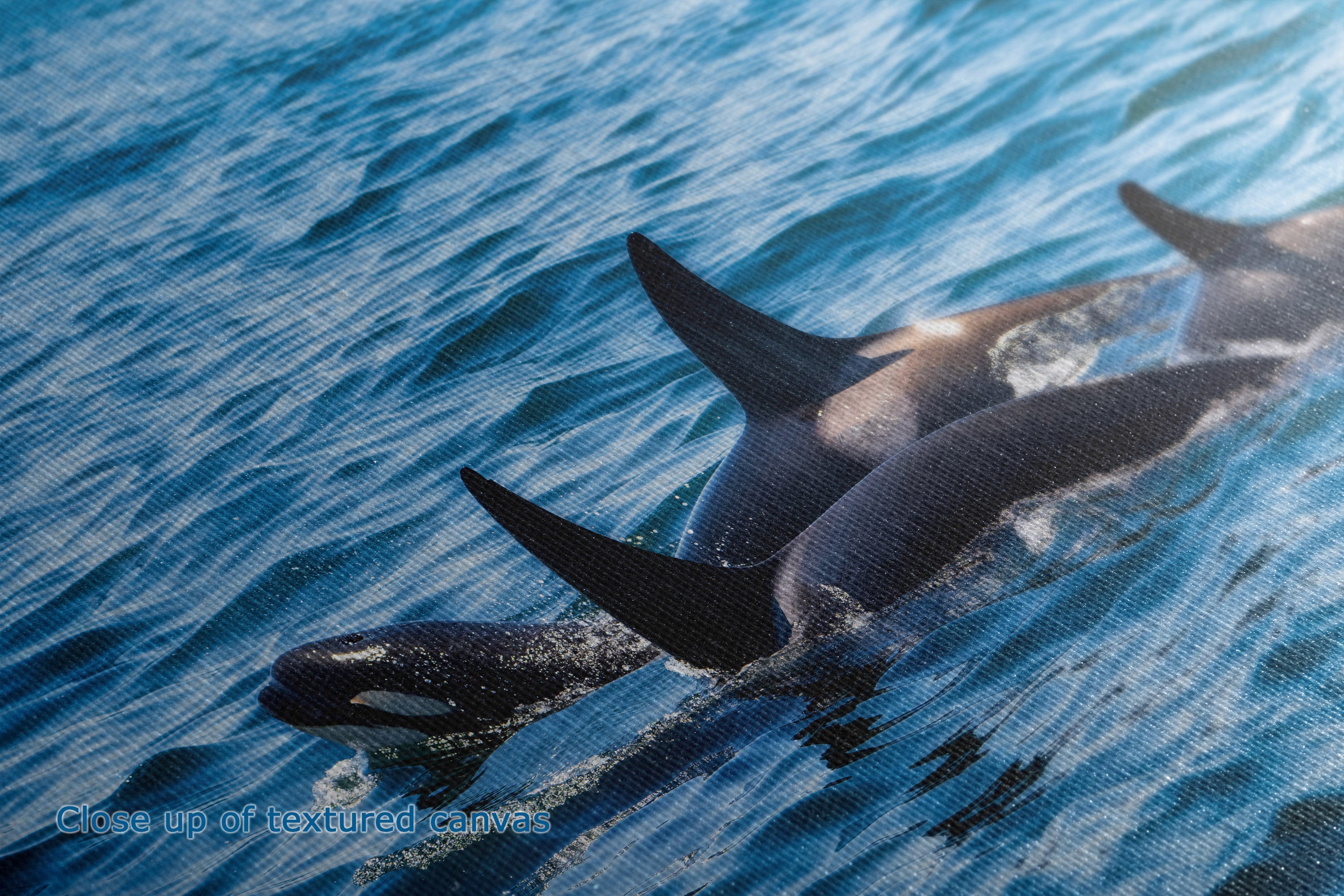 A close-up canvas print showing the texture of the print medium displaying a photograph of two orcas swimming in blue ocean water, with a visible woven or textured surface overlay across the image.