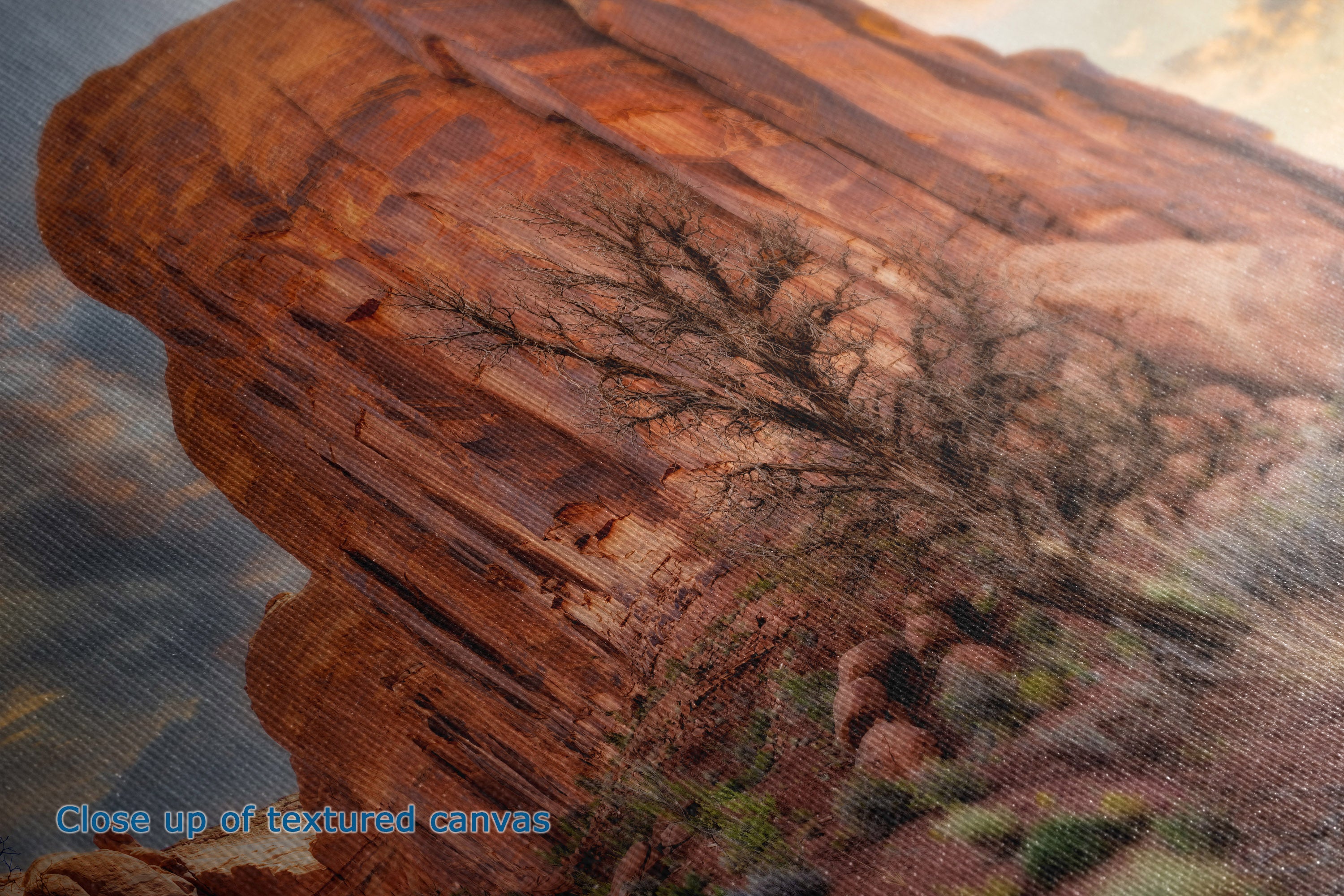 Close-up of a textured canvas print depicting a red rock canyon landscape with a tree, showing fabric texture and a small blue text overlay reading 'Close up of textured canvas'.