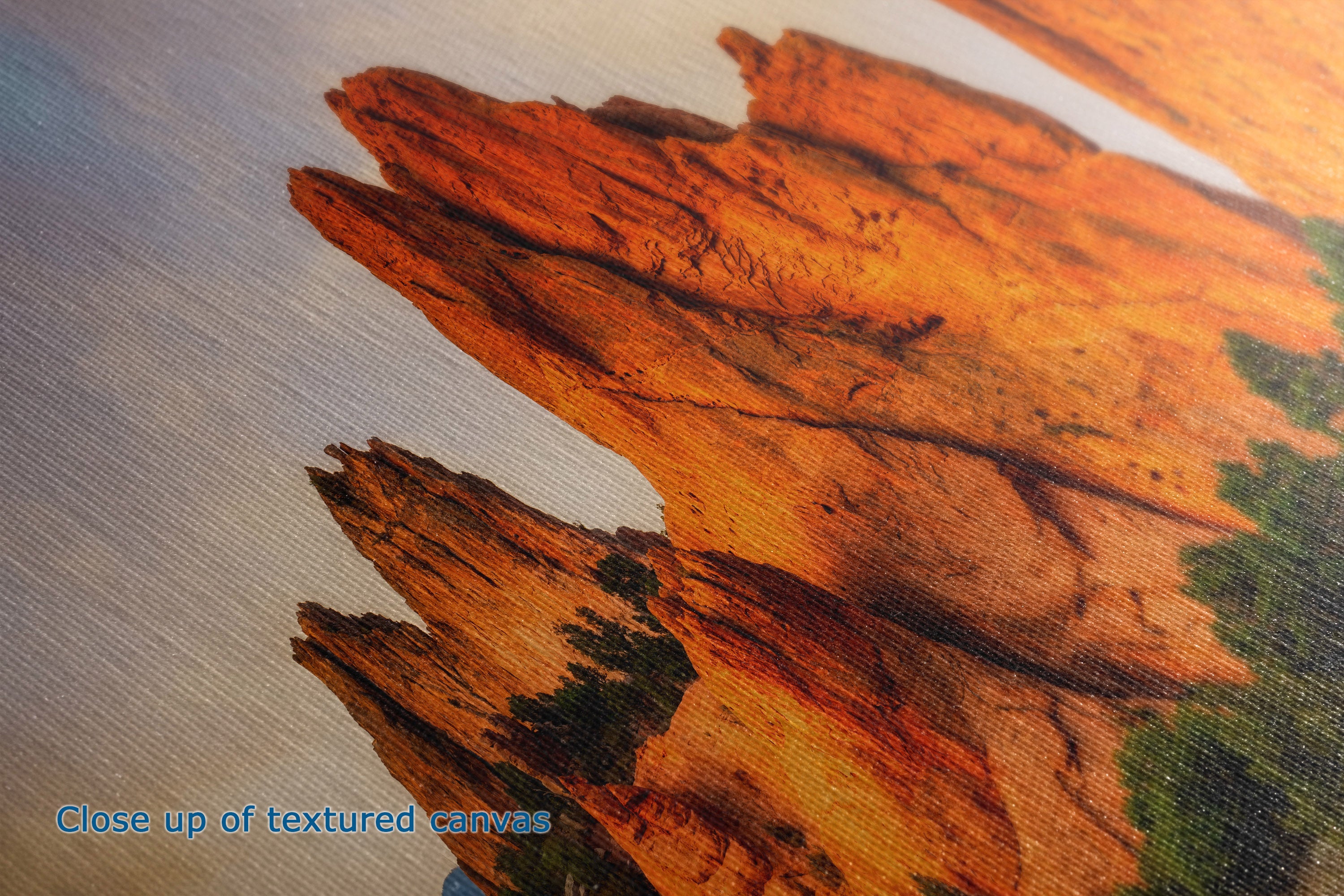 Close-up of the detail and texture of a canvas print depicting orange and brown rock formations against a pale sky, with a small patch of green foliage in the lower right.