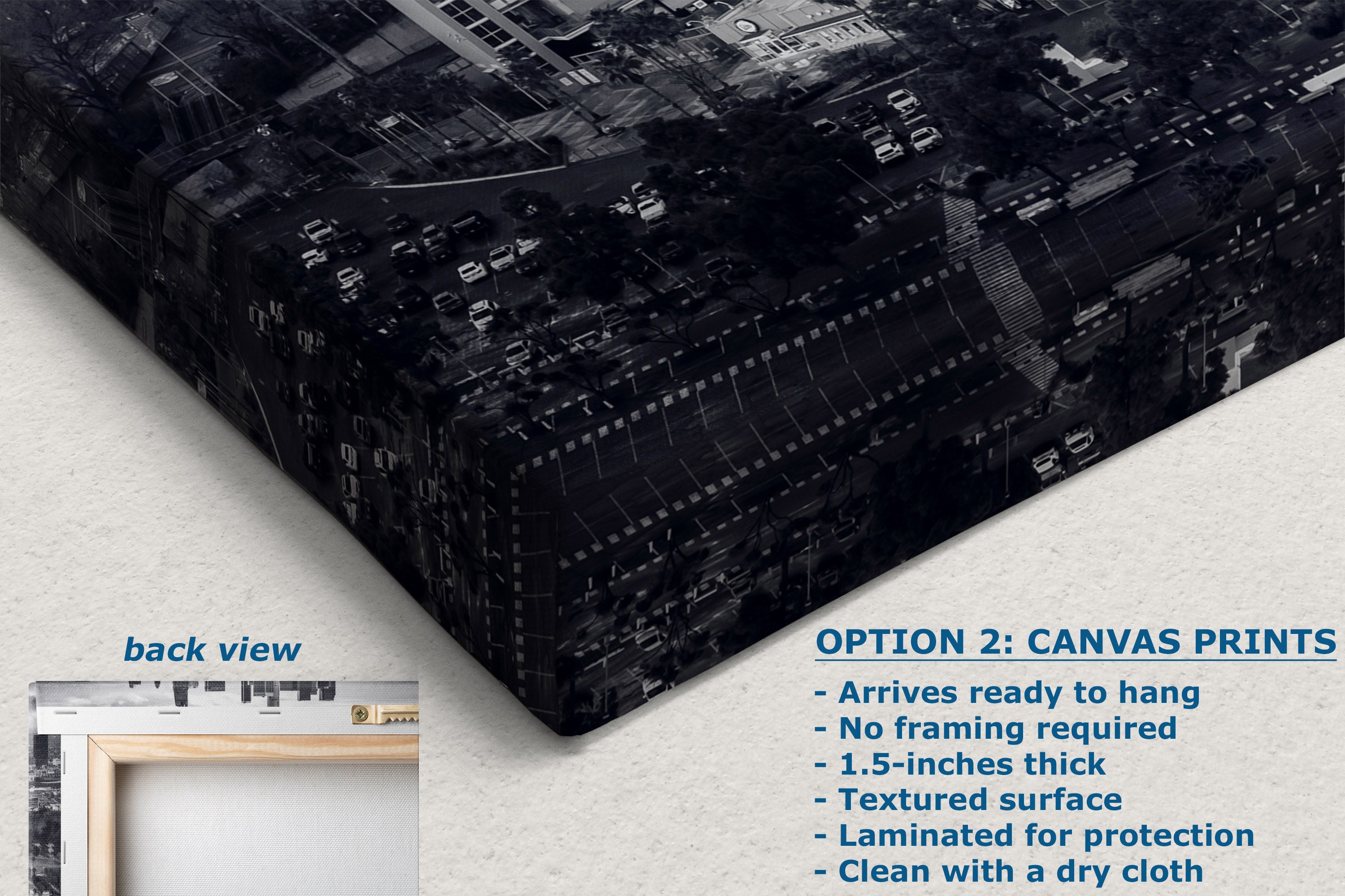Canvas print of a cityscape with text describing canvas prints.