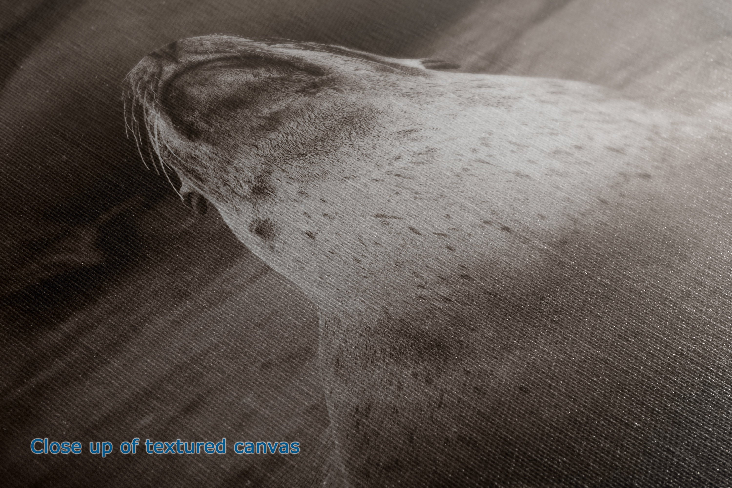 A close-up of a textured canvas surface in a monochrome sepia tone, with a small blue text overlay reading 'Close up of textured canvas' in the lower-left corner.