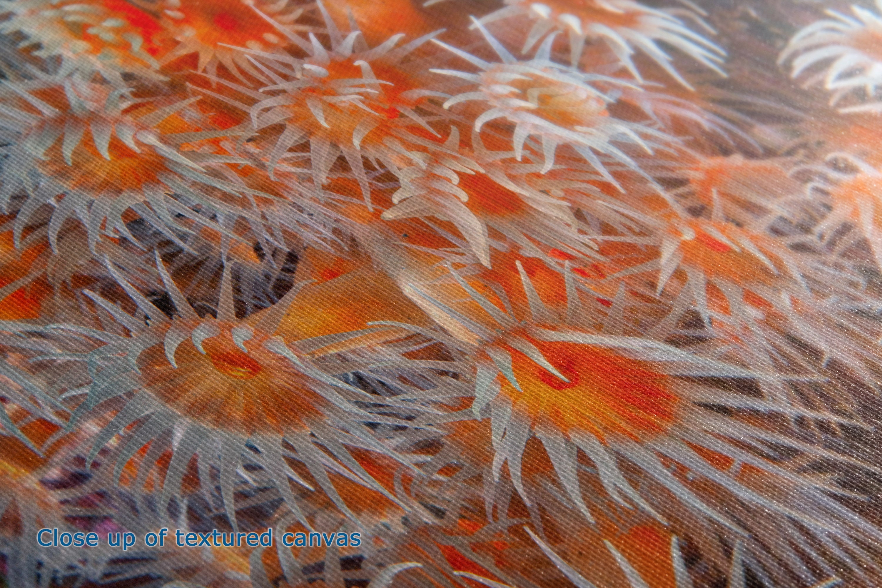 Close-up of a textured canvas featuring a dense pattern of orange and white sea anemones.