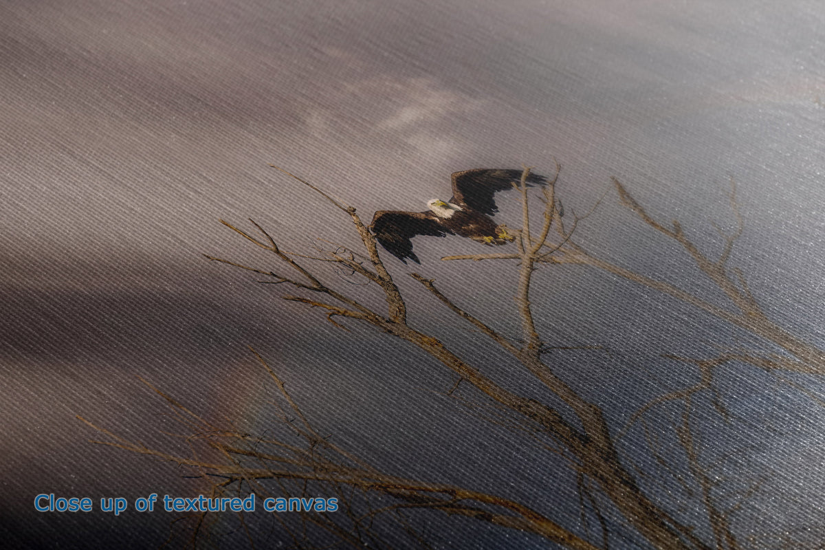 Close-up of the detail and texture of a canvas print depicting a bald eagle flying over bare tree branches over water, with blue text in the lower-left corner reading 'Close up of textured canvas'.