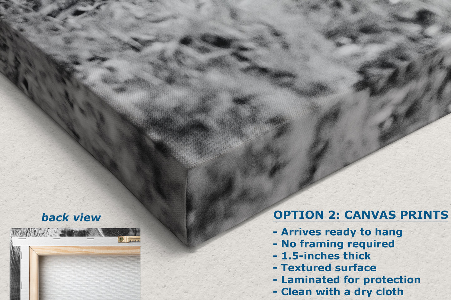 Grazing Buffalo Artwork Wildlife Photography, Black and White Bison Wall Decor, Rustic Cabin Animal Print, Nature Wall Art for Home or Office