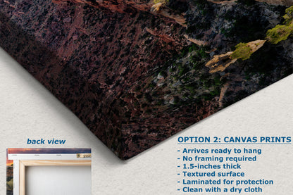 Grand Canyon National Park, North Rim Cape Royal, Arizona Desert Picture Nature Photo, Bohemian Style Relaxation Artwork for Meditation, Apartment, Office & House Decor