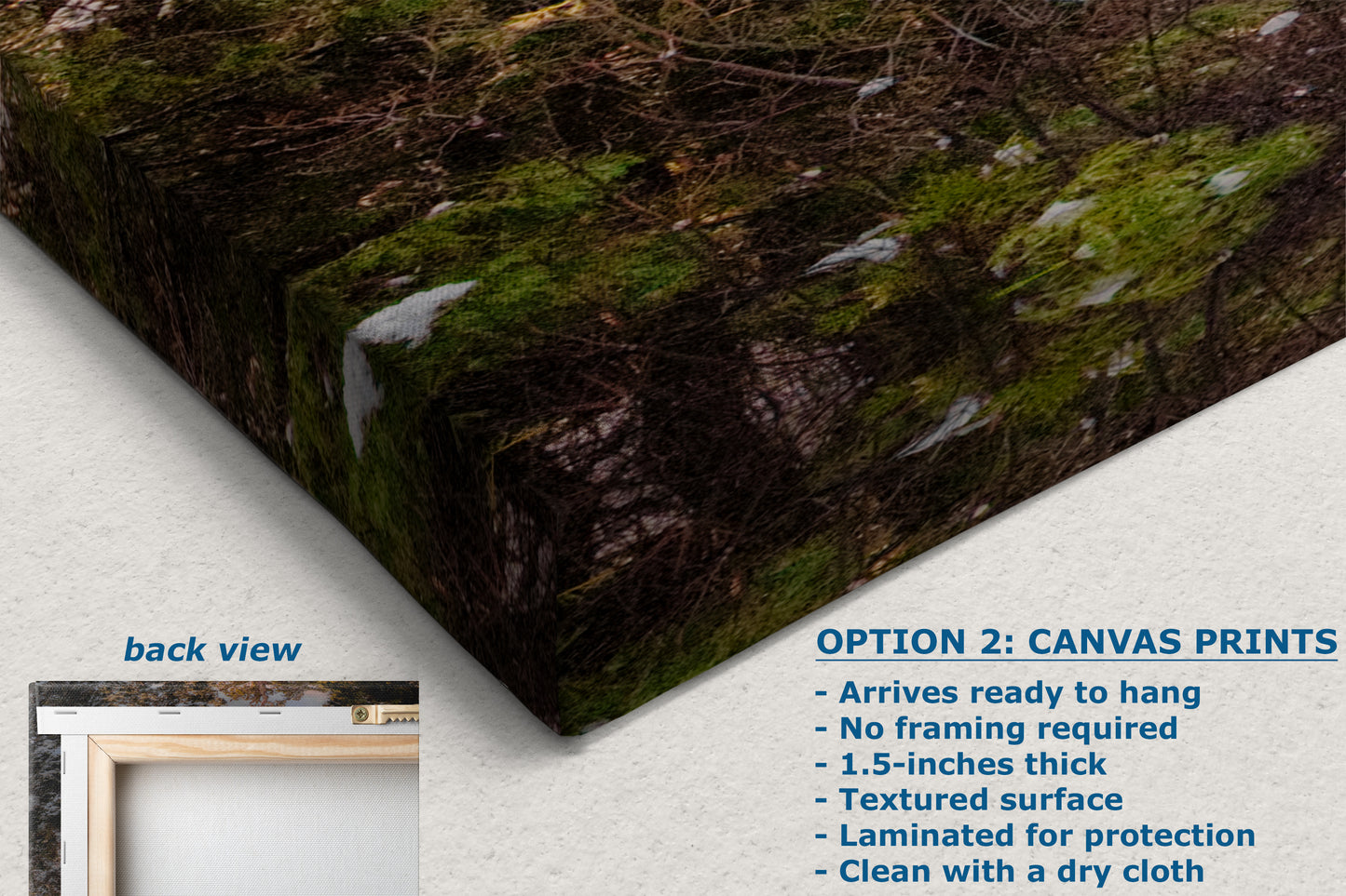 Giant Sequoia Tree Forest Picture Nature Photo, Redwood Tree Wall Art, Forest Bathing Decor, Bohemian Style Relaxation Artwork