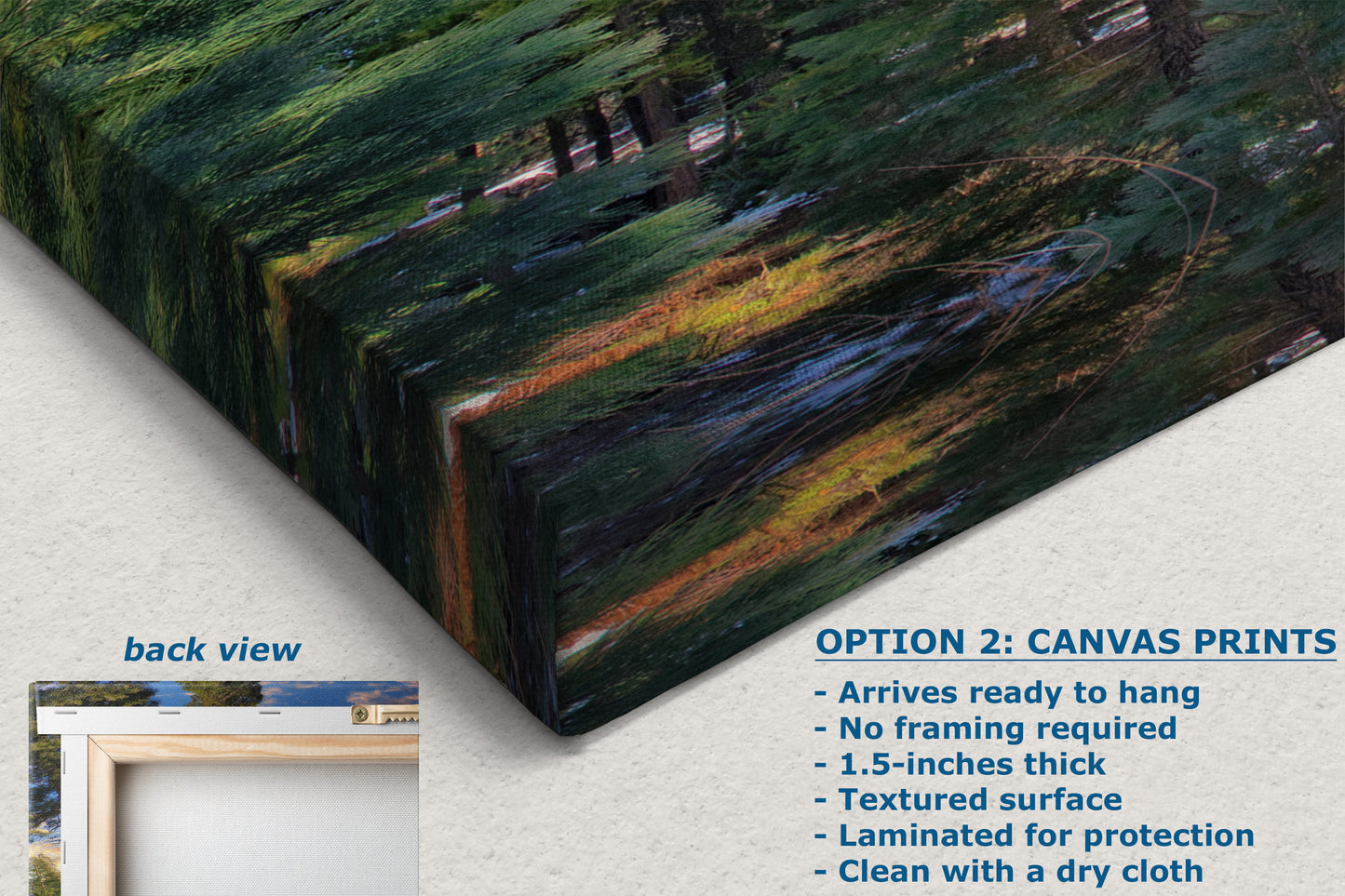 Giant Sequoia Tree Art, Redwood Forest Picture, Nature Photo Inspired Wall Decor