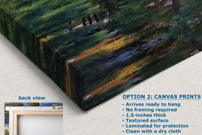 Giant Sequoia Tree Art, Redwood Forest Picture, Nature Photo Inspired Wall Decor