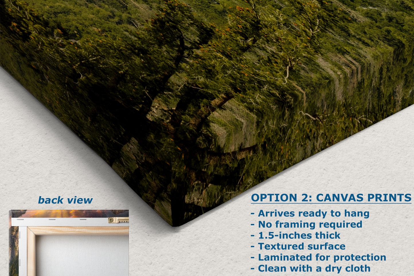 Tunnel View Yosemite National Park Mountain Picture Nature Photo Relaxation Artwork for Mediation, Office, & House Decor