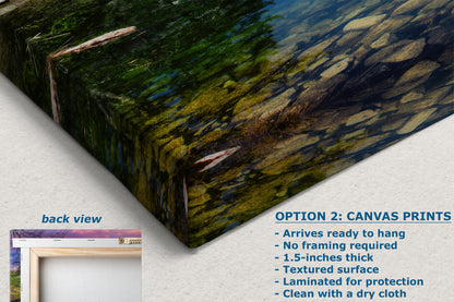 Mirror Lake Yosemite National Park Mountain Picture Nature Photo Relaxation Artwork of Mt. Watkins for Meditation, Office, and House Decor