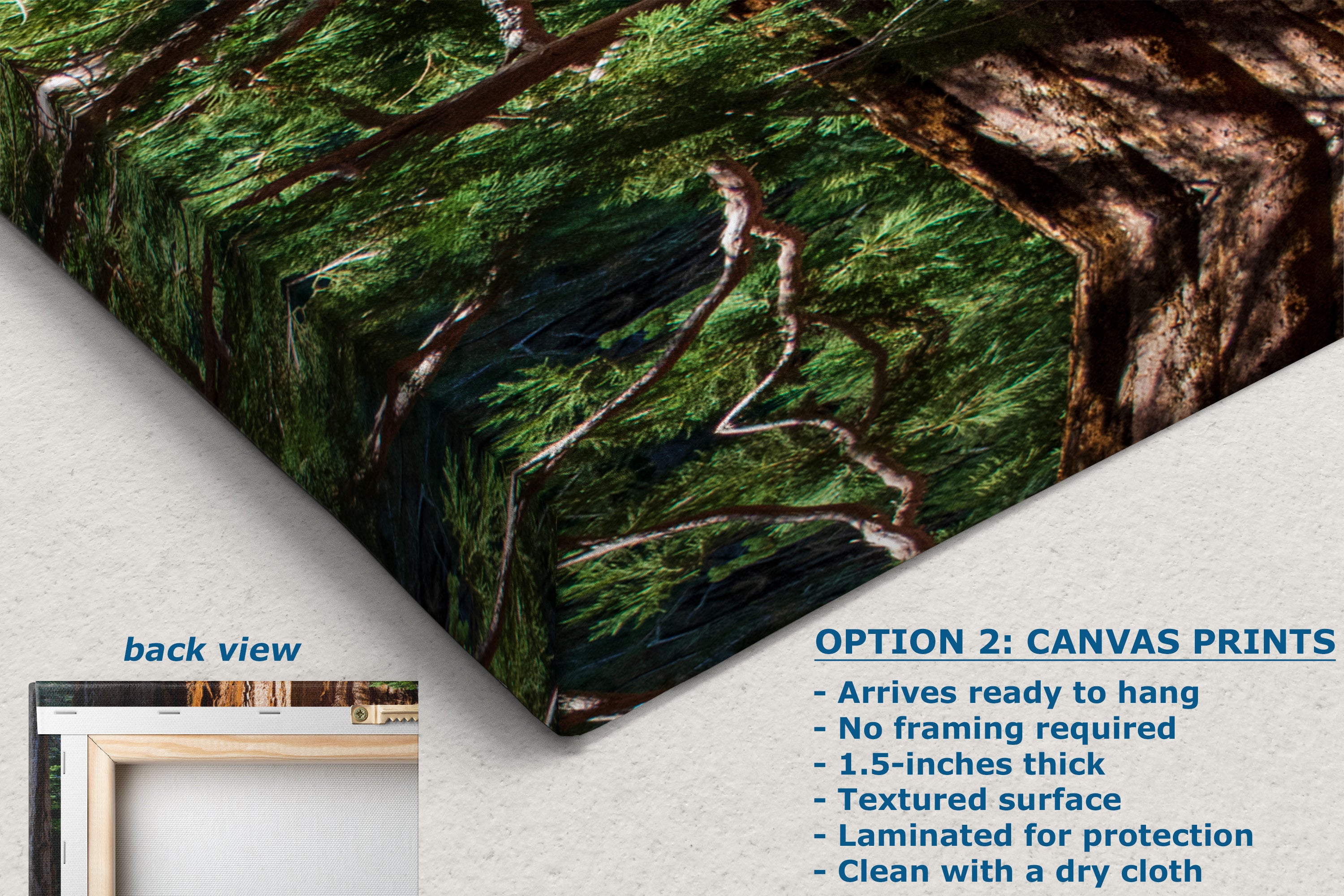 Giant Sequoia Tree Forest Picture Nature Photo, Redwood Trees Wall Art, Forest Bathing National Park Poster, Relaxation Decor